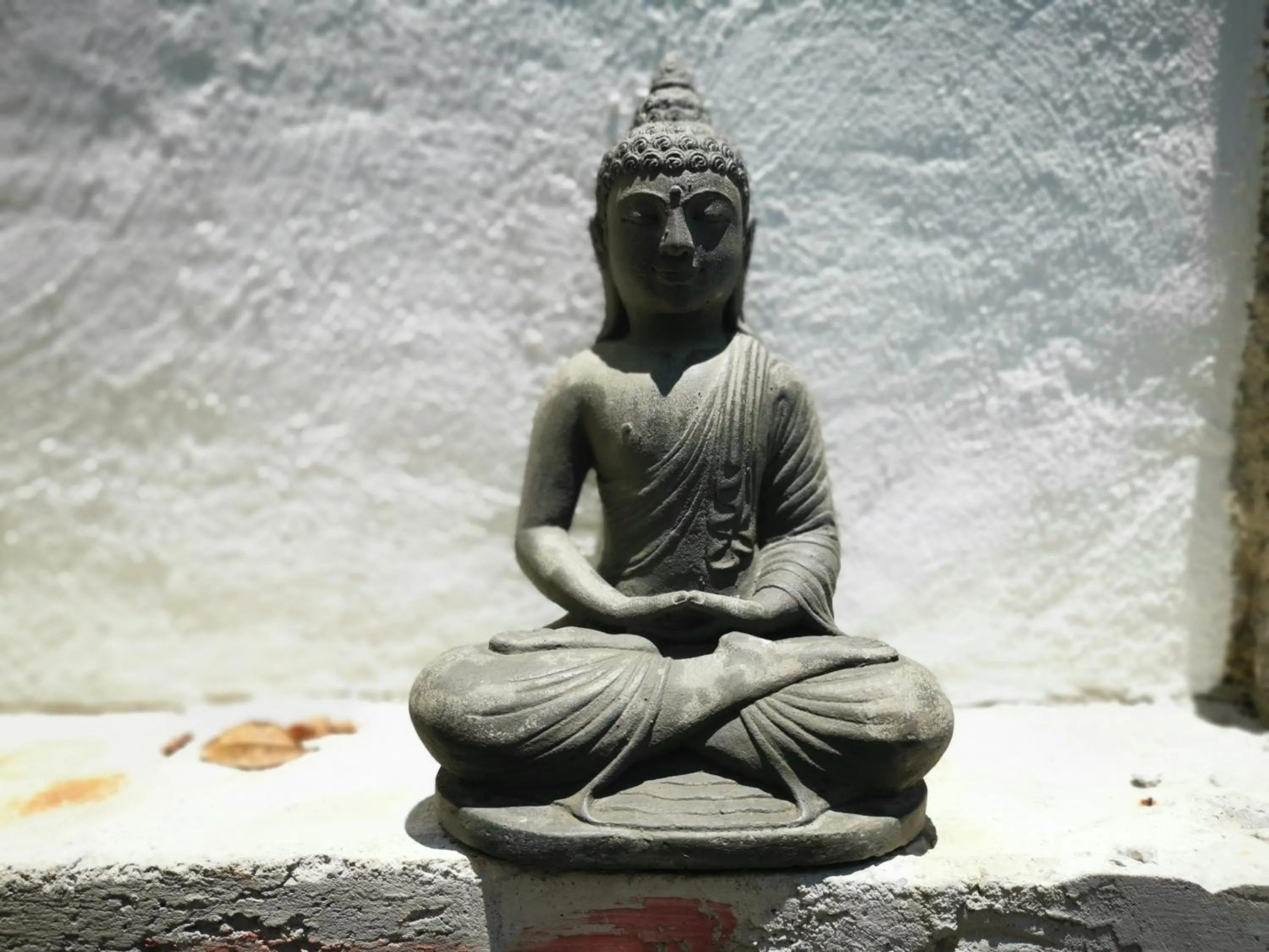 Garden in Mocca Hotels