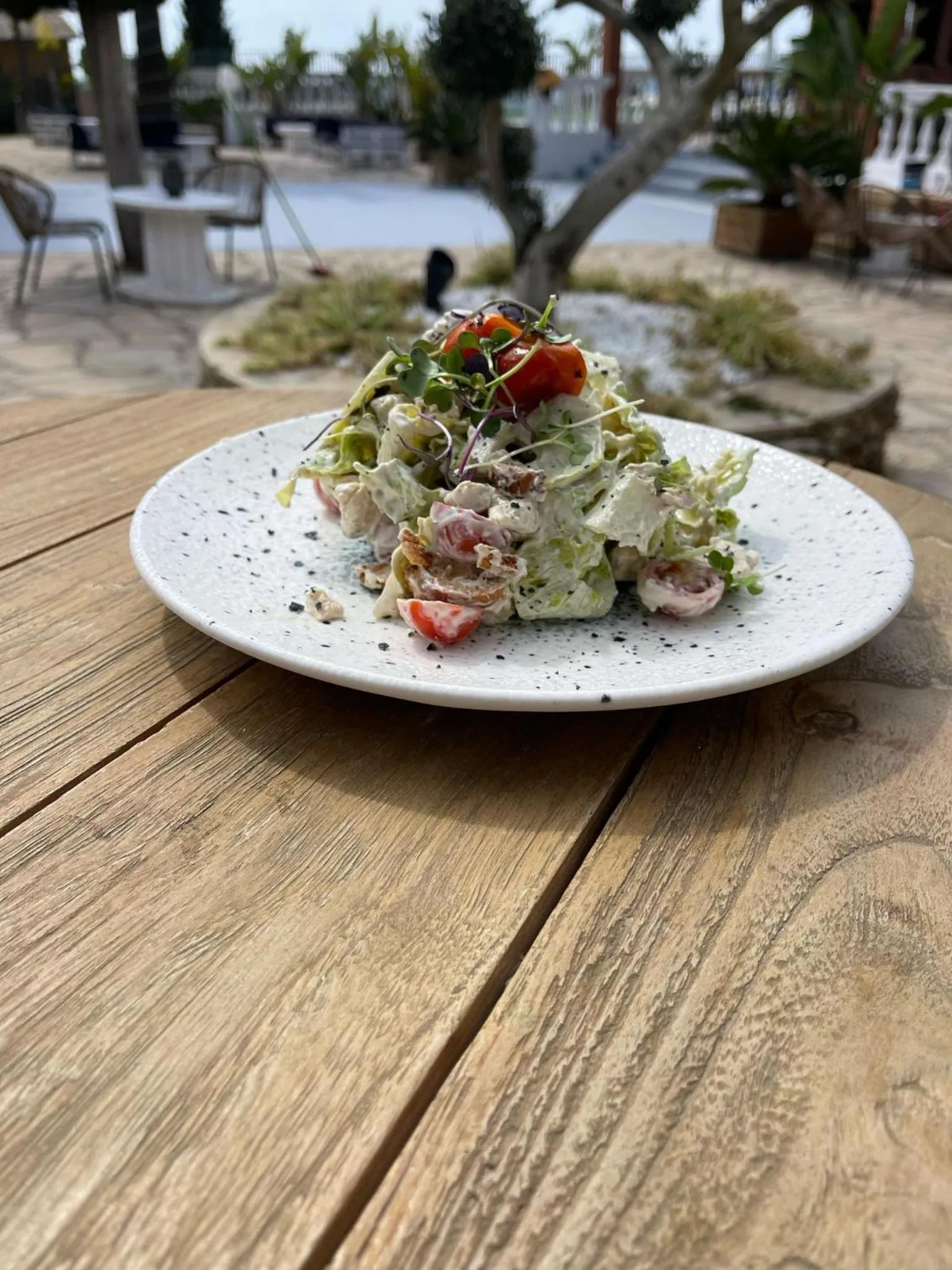 Restaurant/places to eat in San Martin