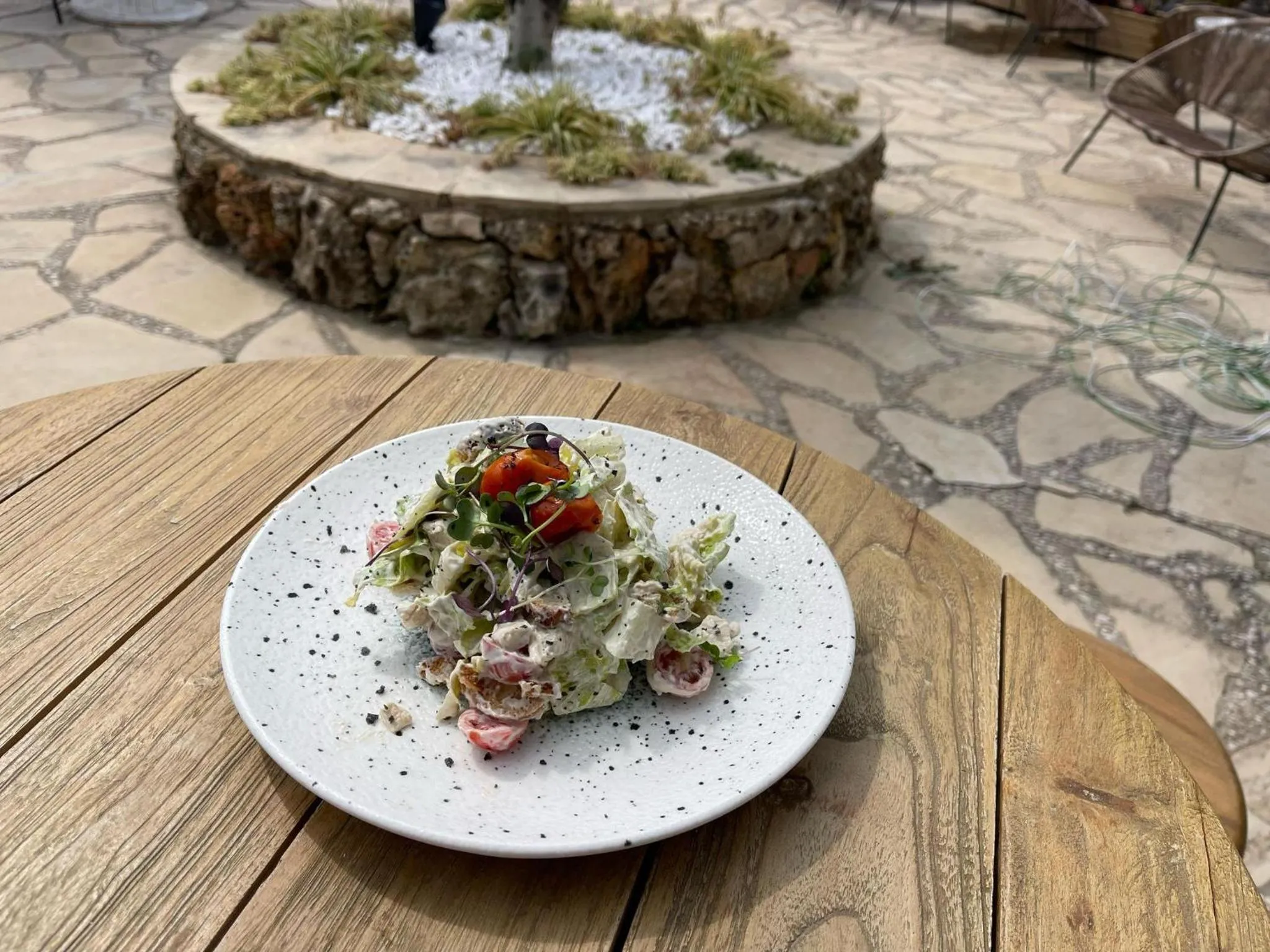 Restaurant/places to eat in San Martin