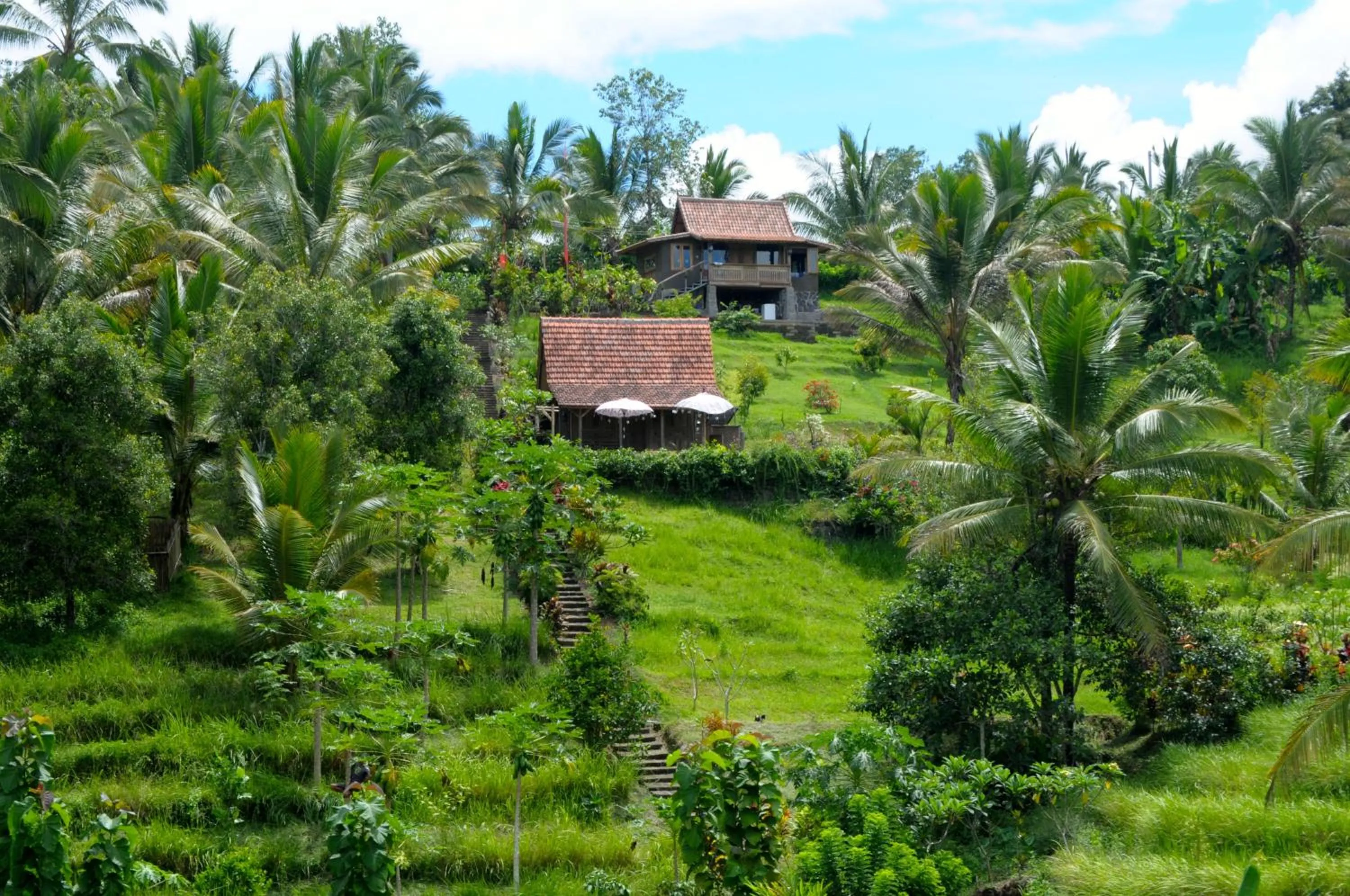 Natural landscape in Bali Lush