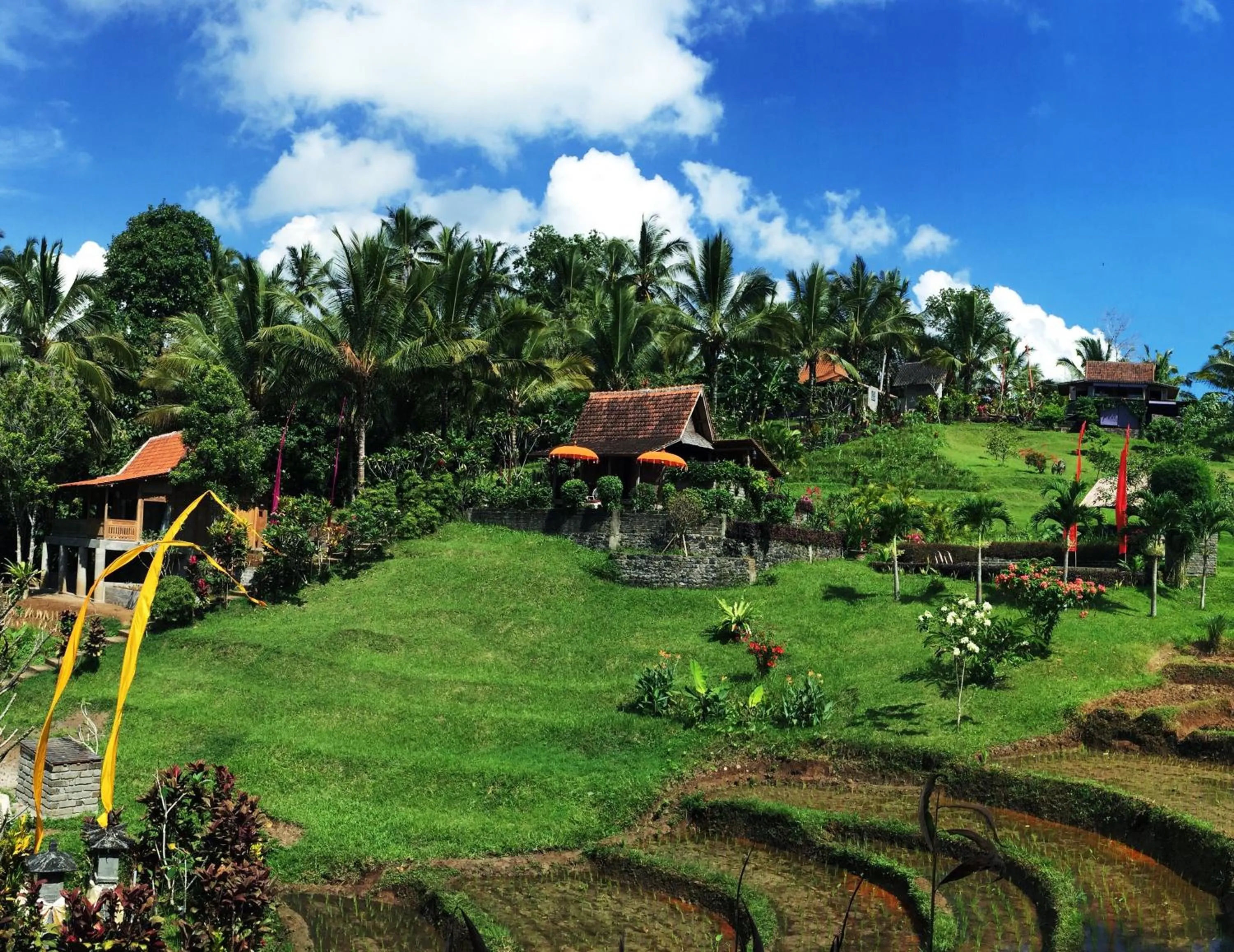 Natural landscape in Bali Lush