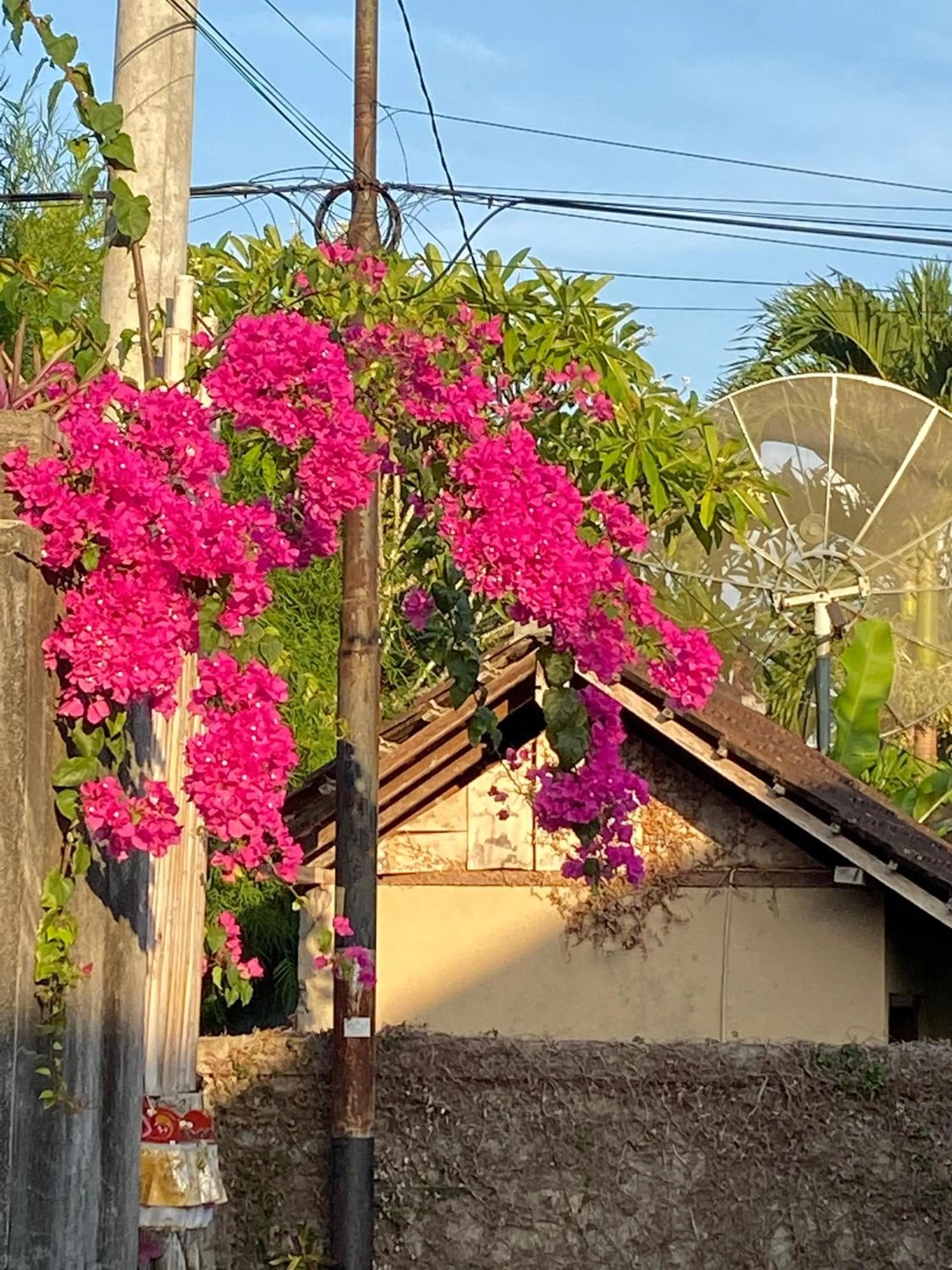 Facade/entrance in Rumah Dadong