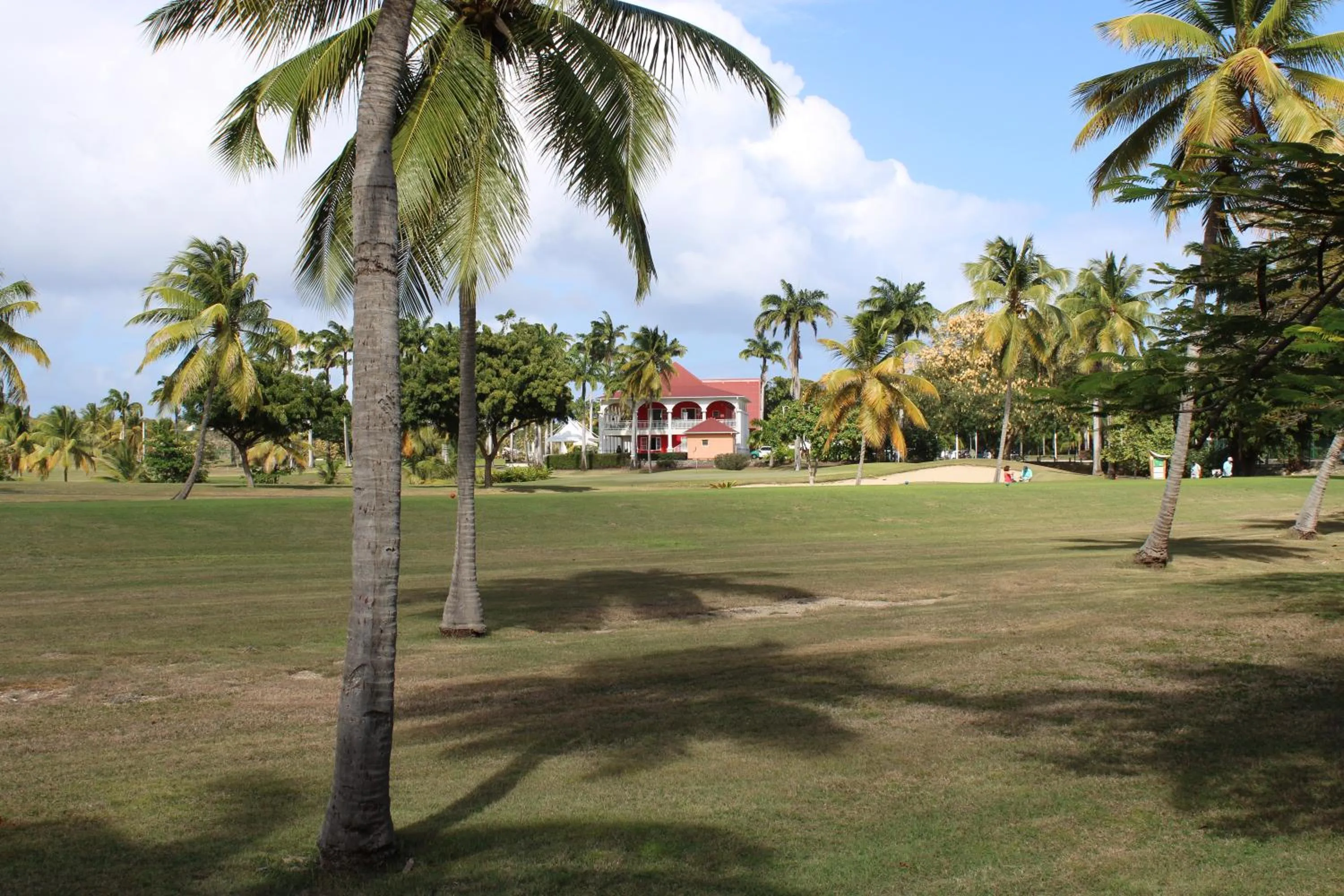 Golfcourse in Majesty Palm Hôtel