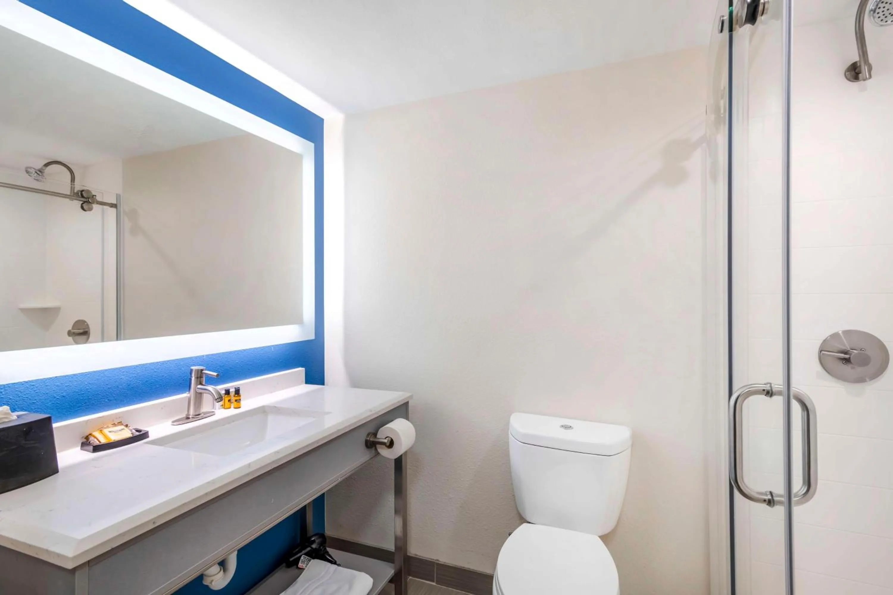 Bathroom in Best Western Plus Lake Lanier Gainesville Hotel & Suites