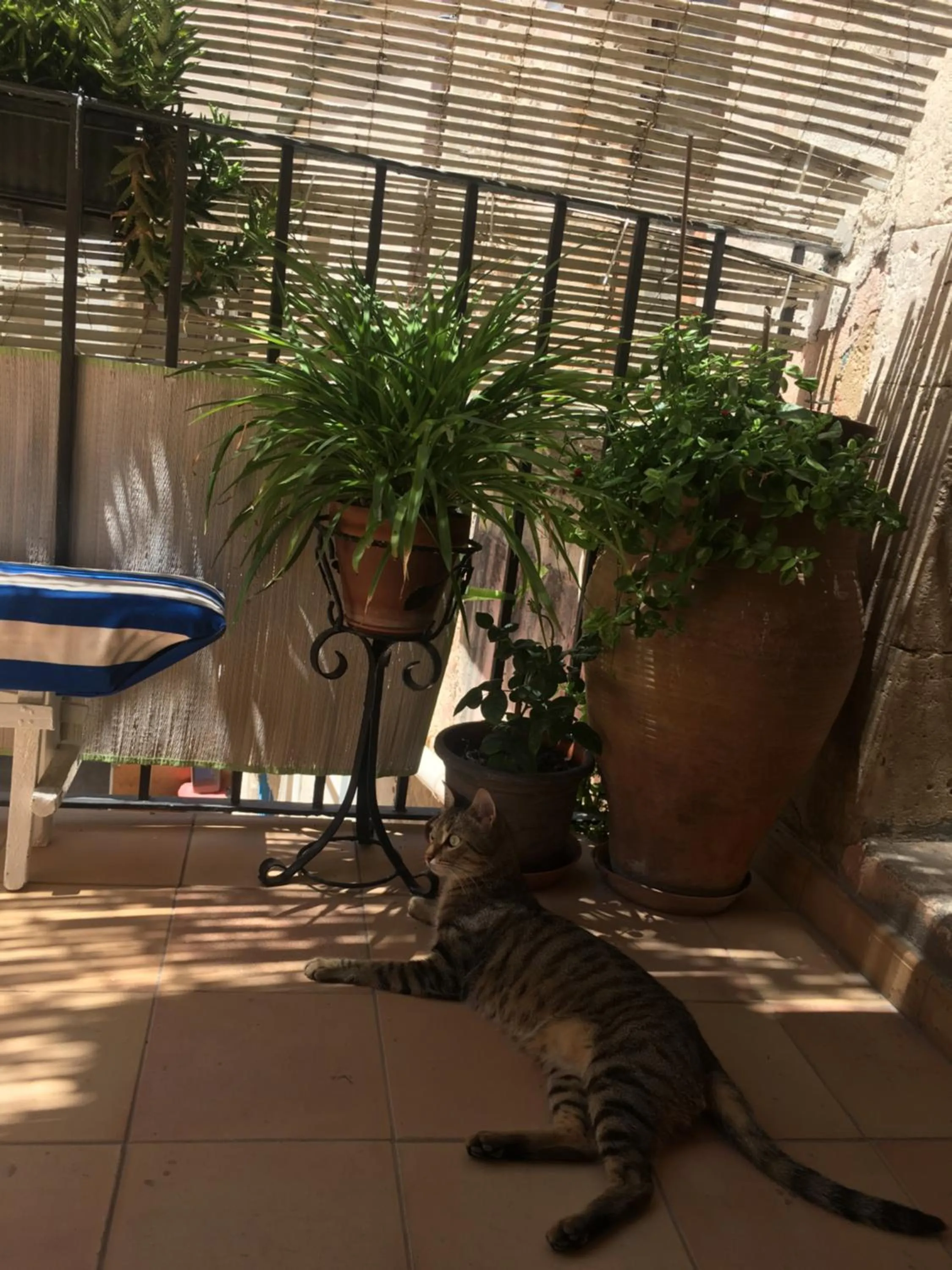 Facade/entrance in B&B Spiraglio