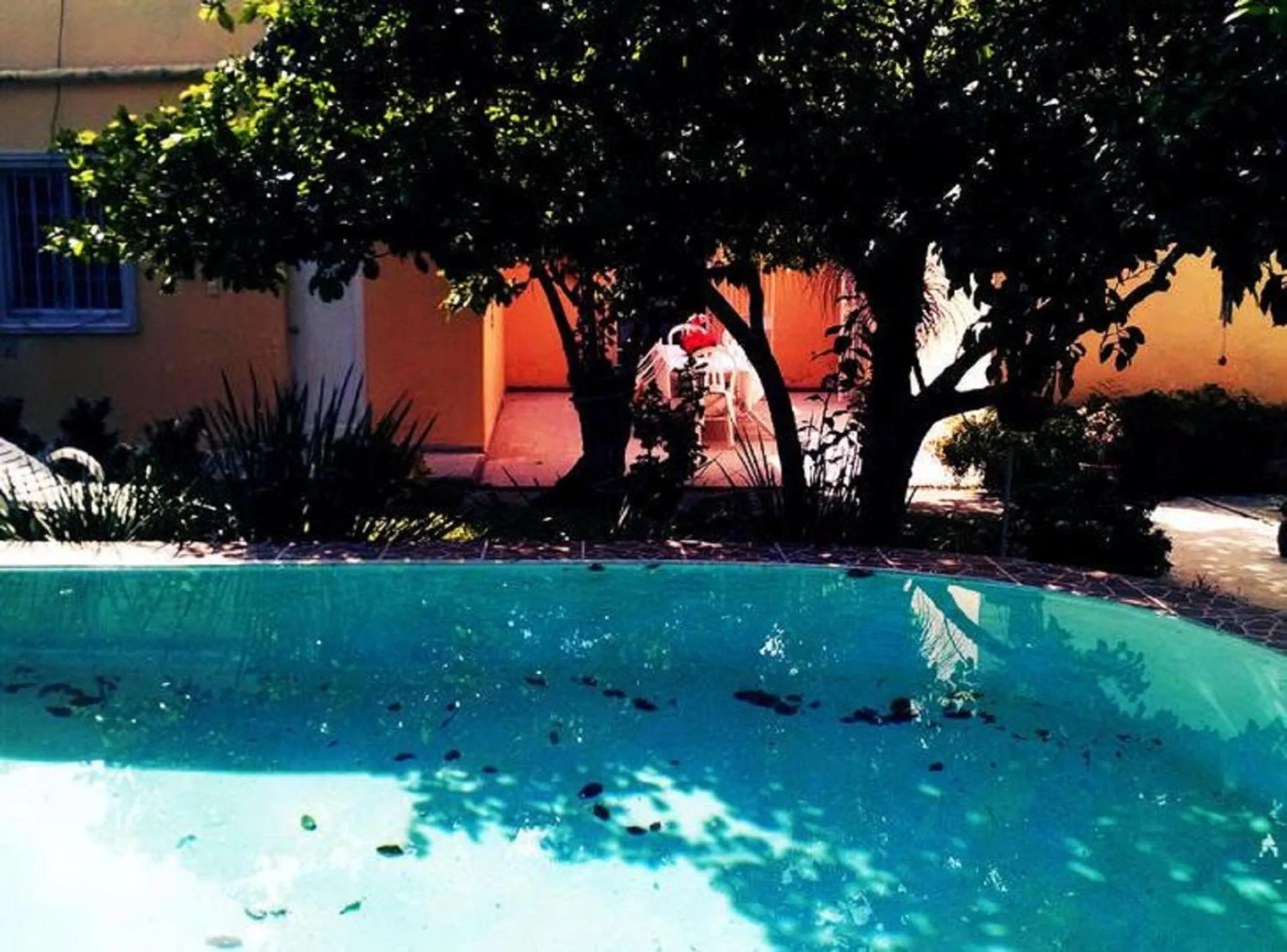 Activities in La Casa del Turix