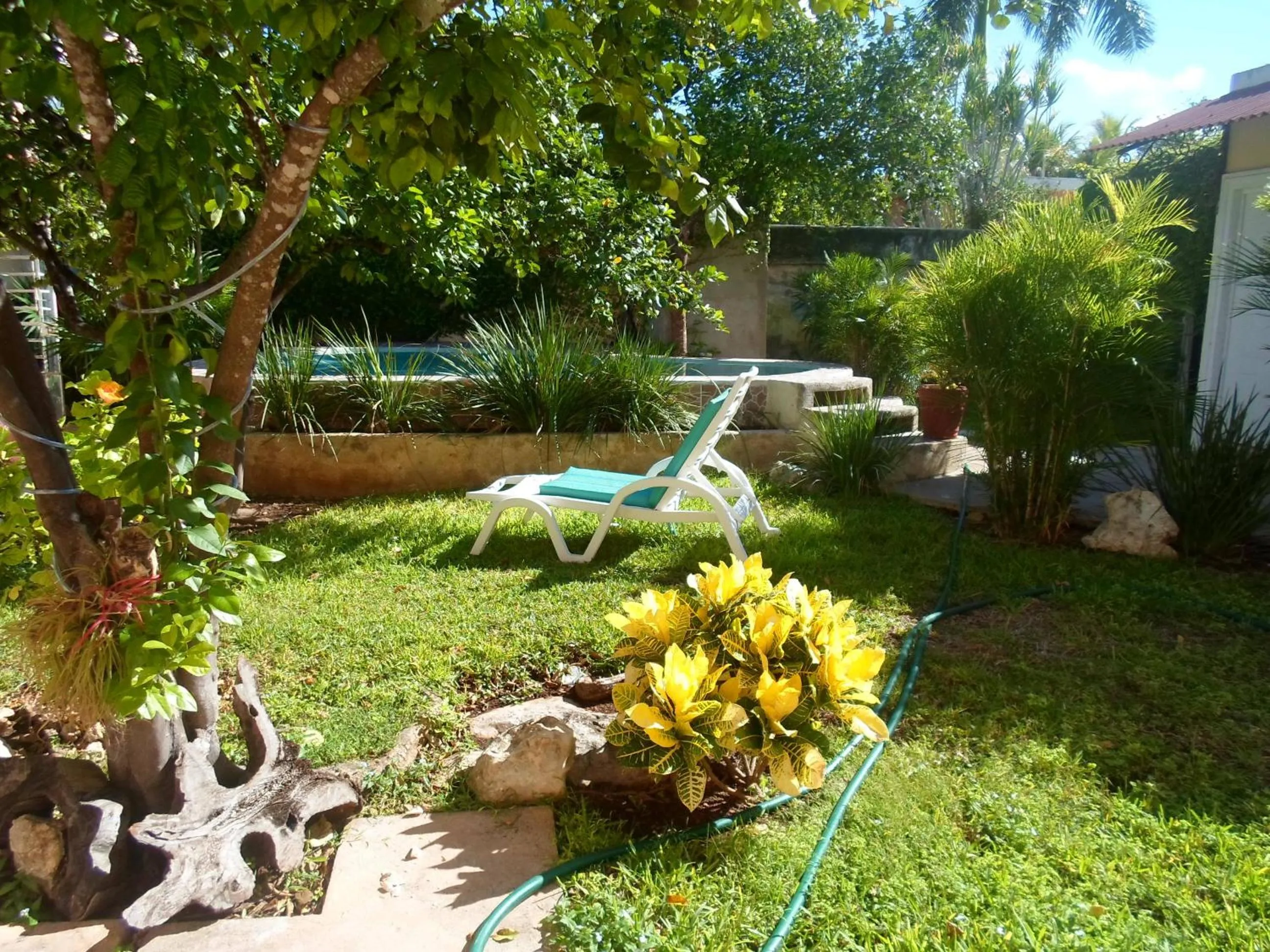 Garden in La Casa del Turix