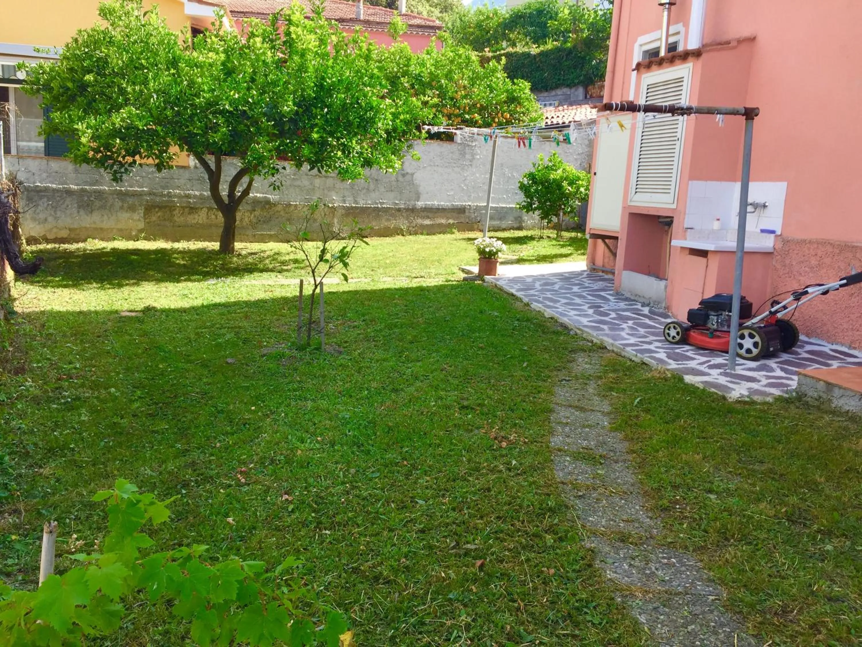 Garden view in B&B Villa Rosa Angrisano