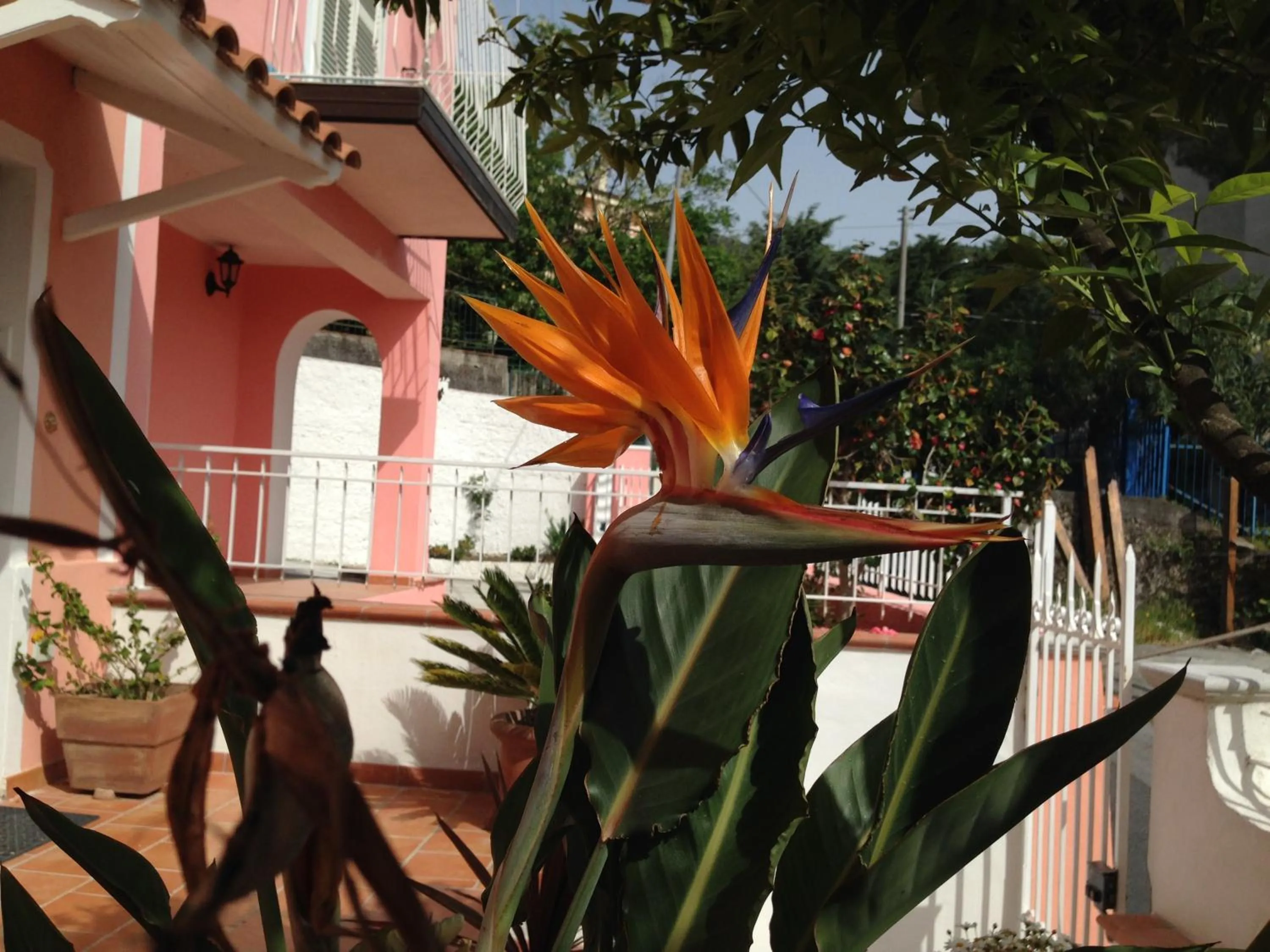 Decorative detail in B&B Villa Rosa Angrisano