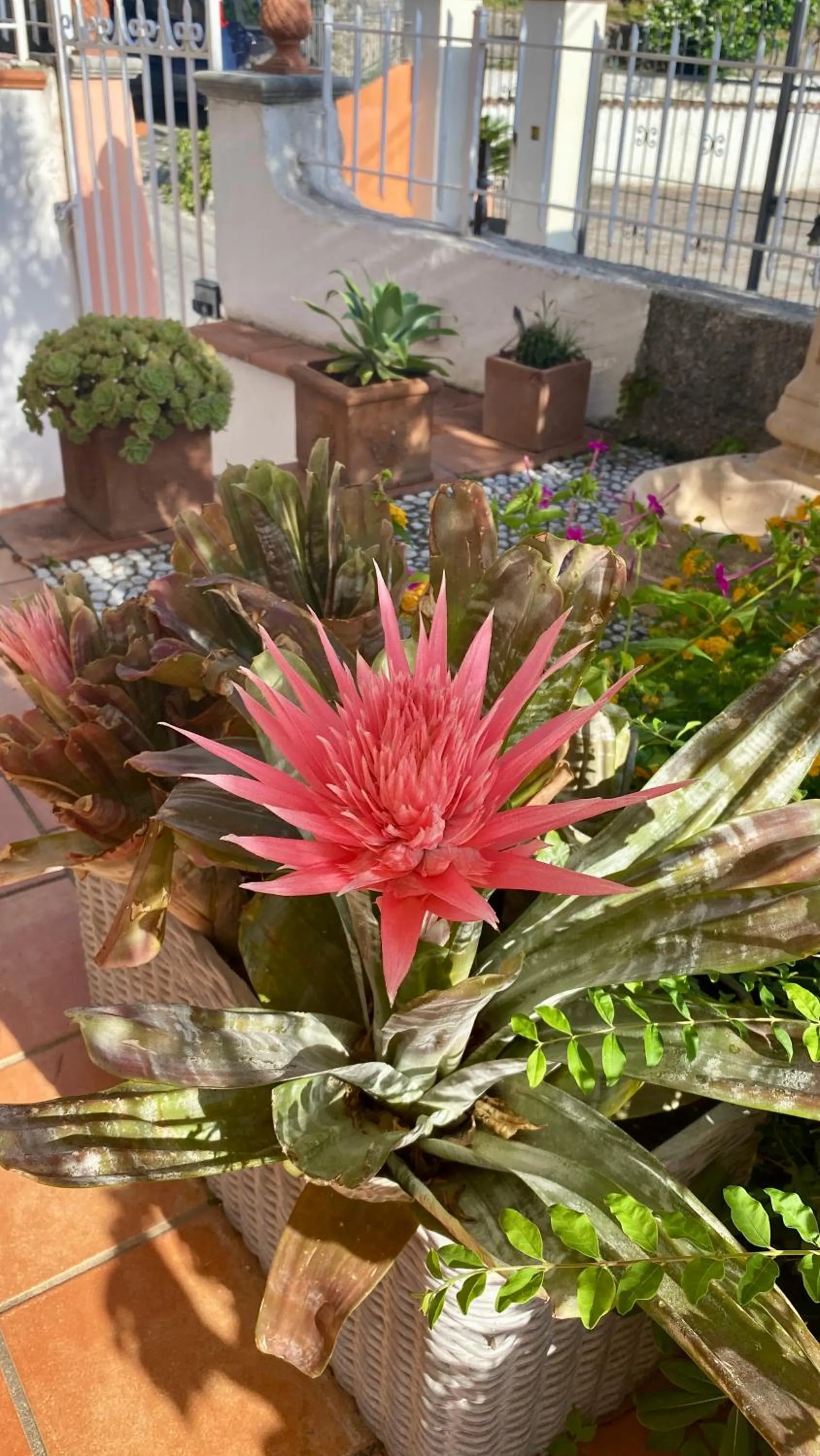 Decorative detail in B&B Villa Rosa Angrisano