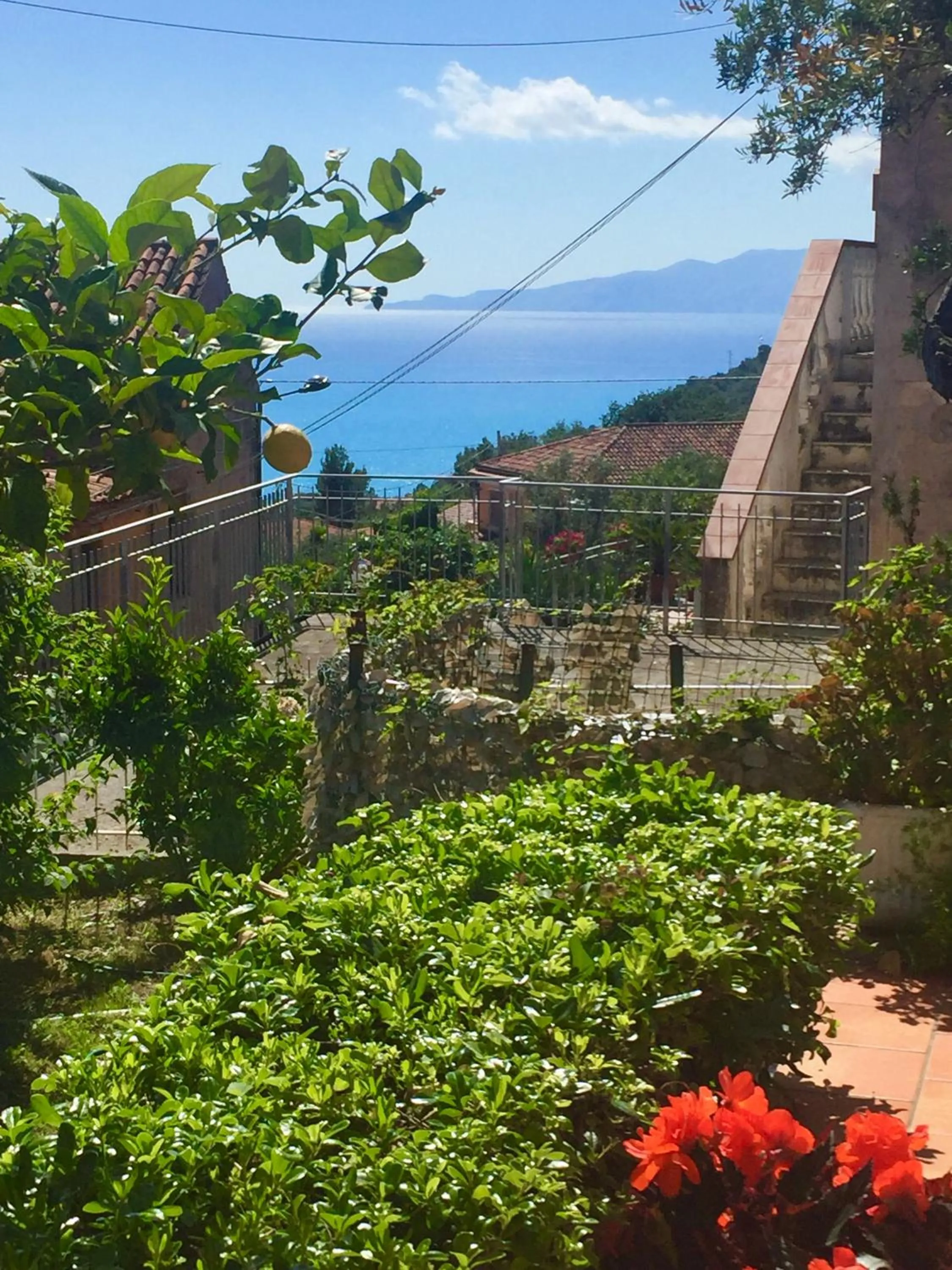 Garden view in B&B Villa Rosa Angrisano