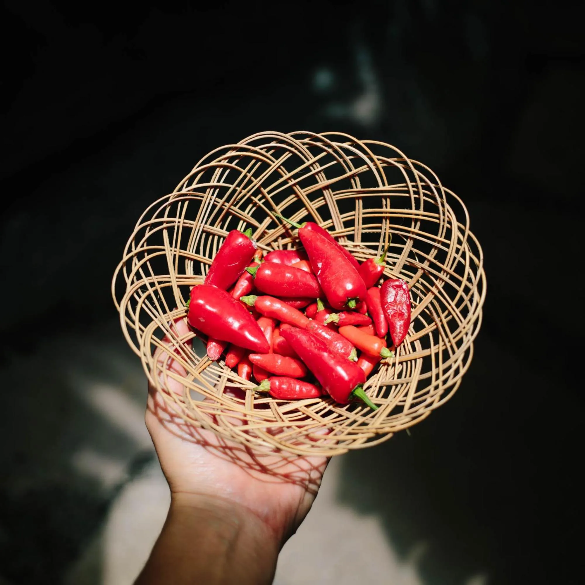 Restaurant/places to eat in Isleta El Espino Ecolodge