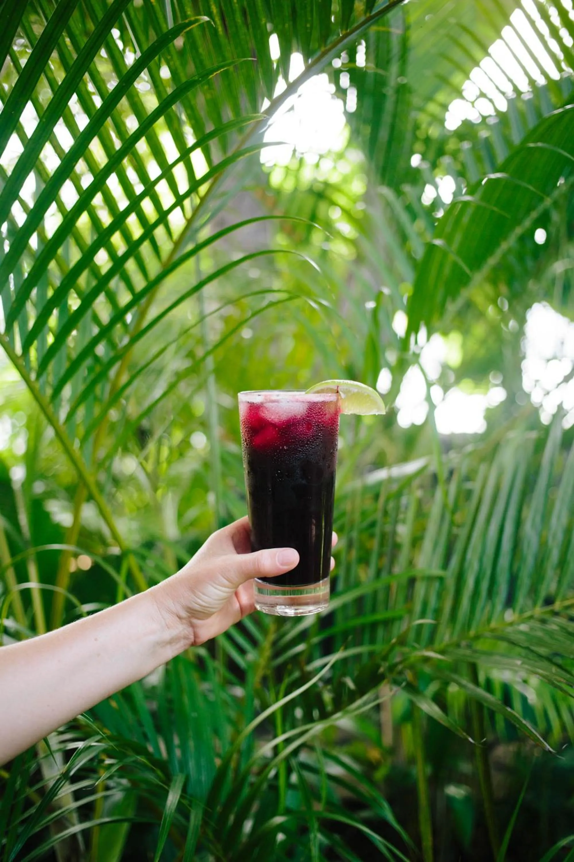 Restaurant/places to eat in Isleta El Espino Ecolodge