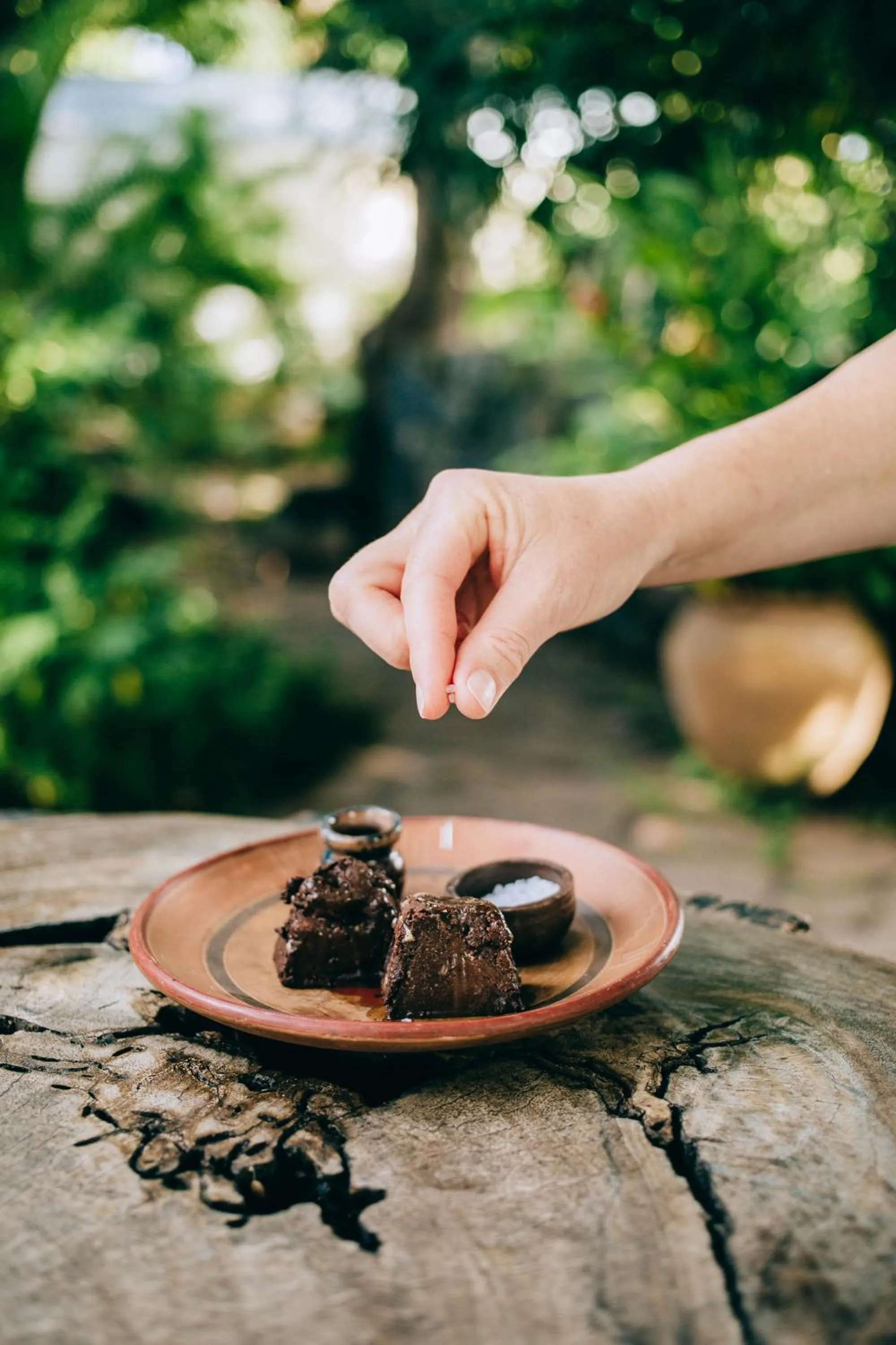 Restaurant/places to eat in Isleta El Espino Ecolodge