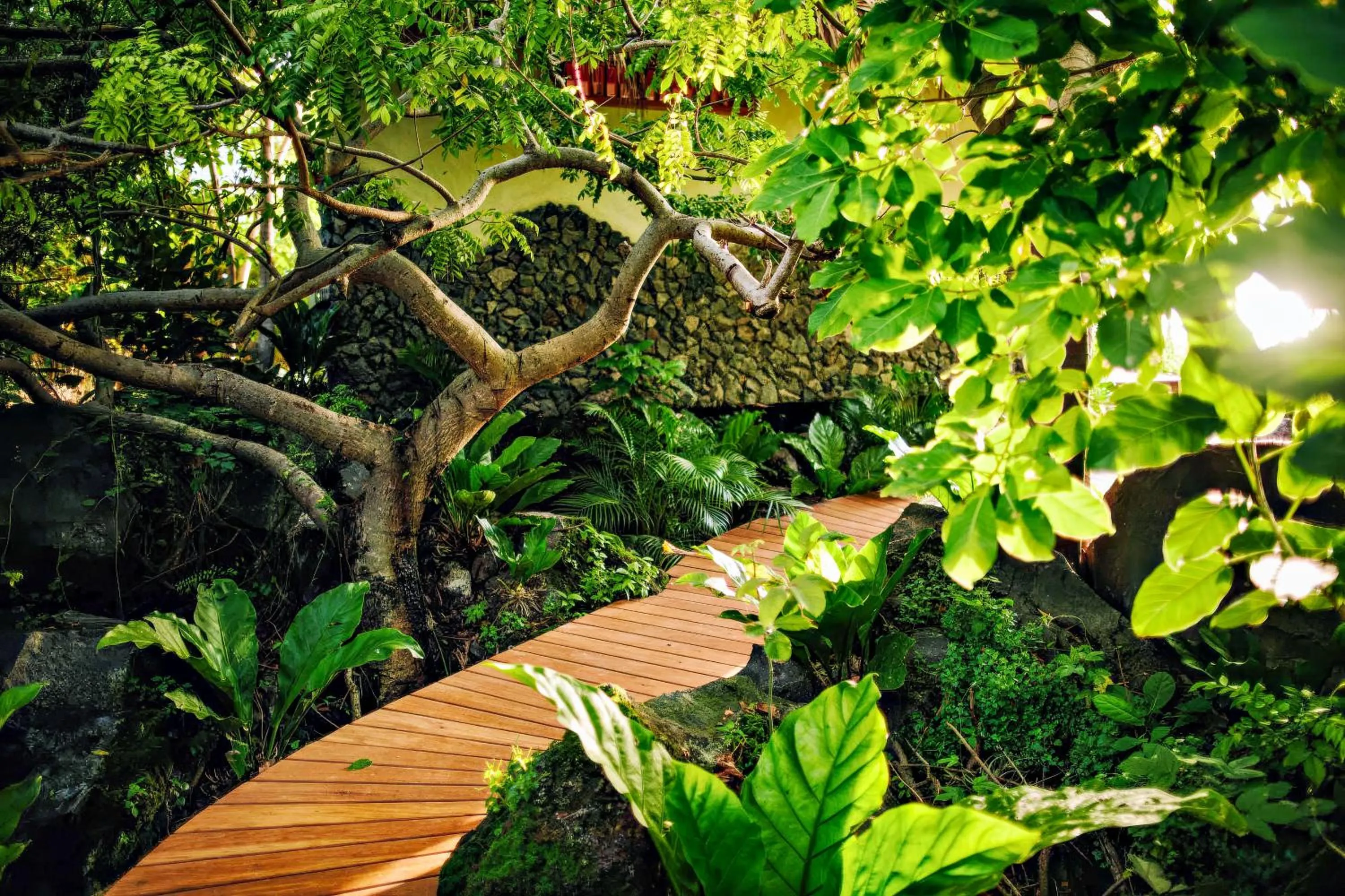 Isleta El Espino Ecolodge