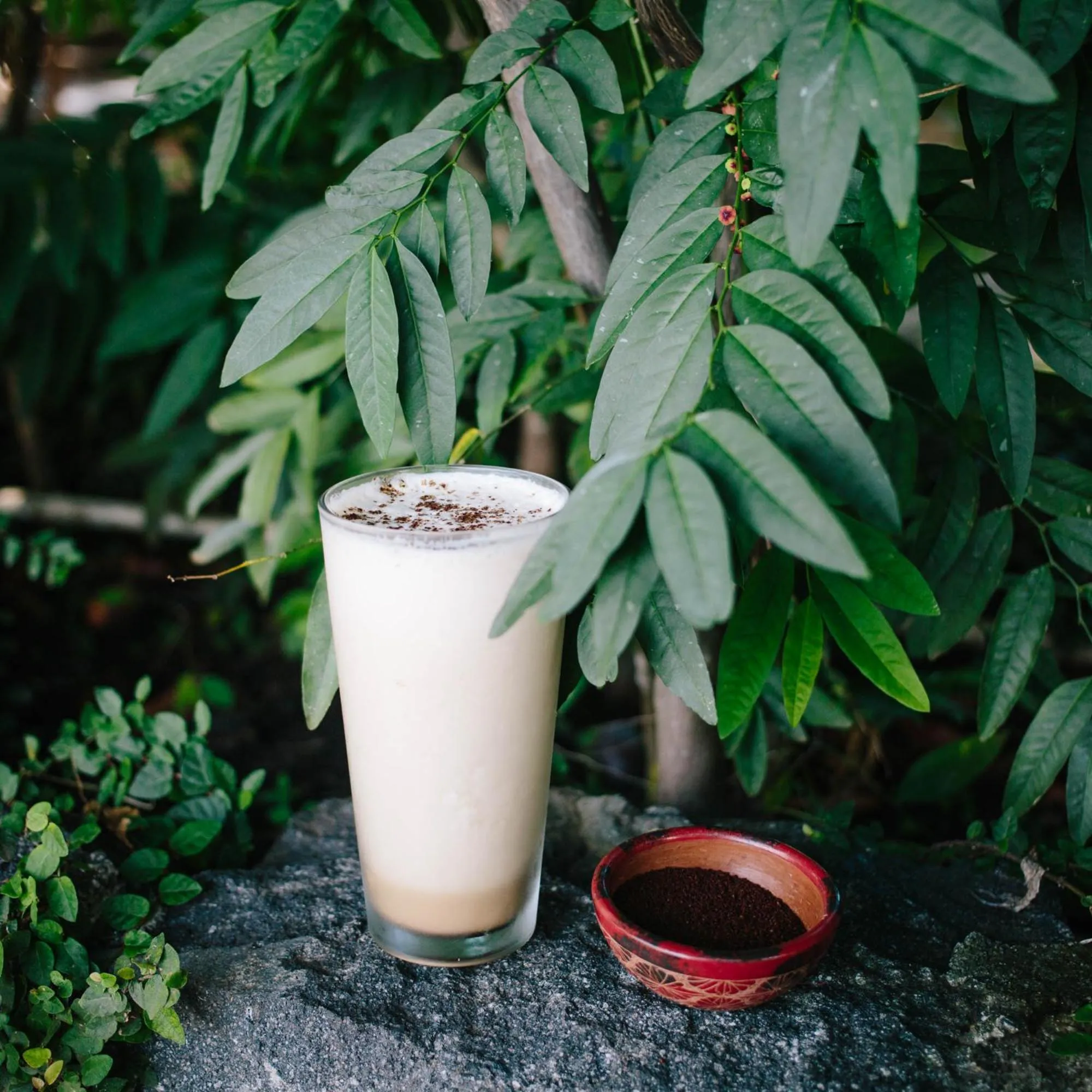 Restaurant/places to eat in Isleta El Espino Ecolodge