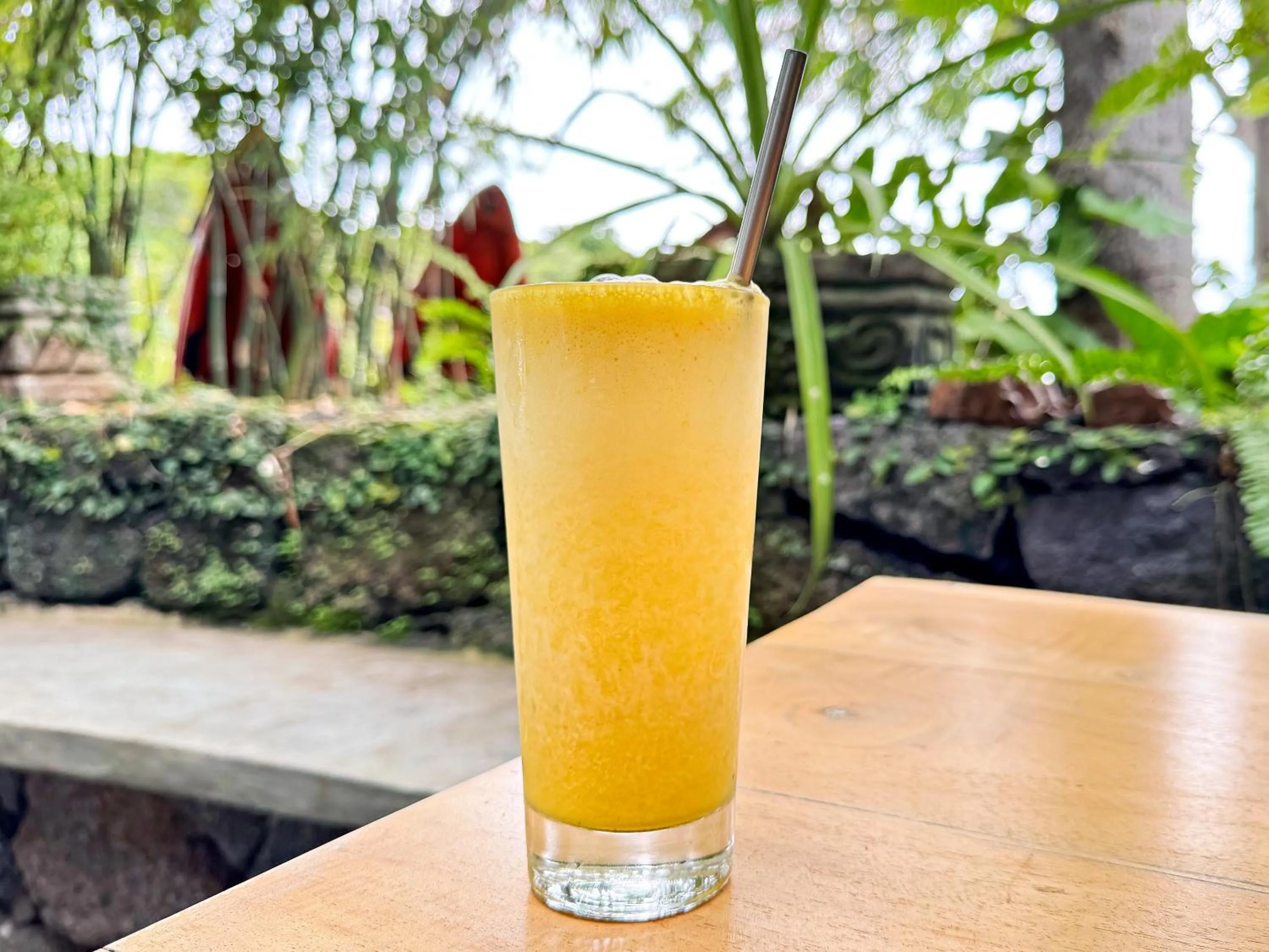 Isleta El Espino Ecolodge