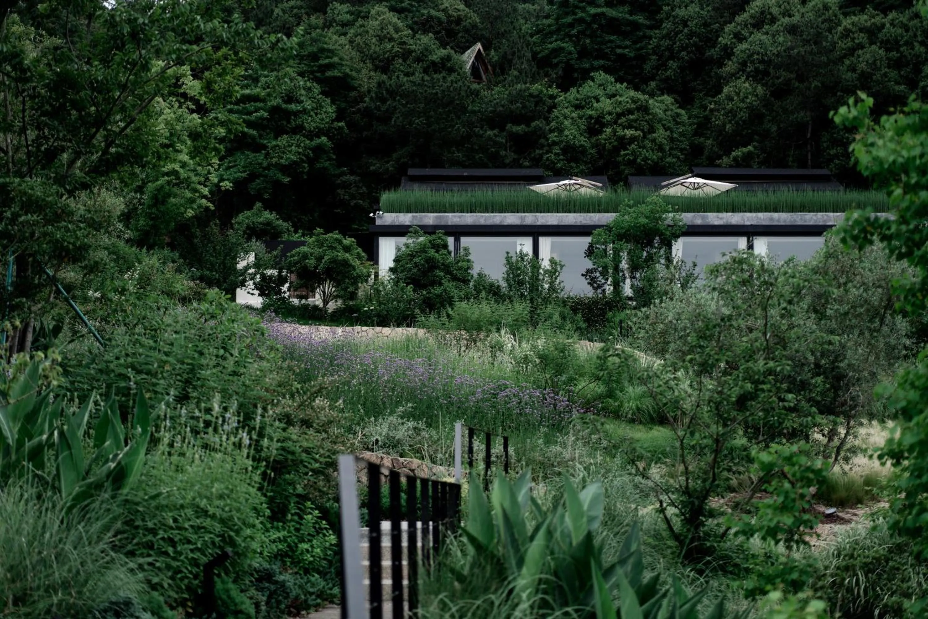 Property building in Anji ke gamer wild luxury Resort villa