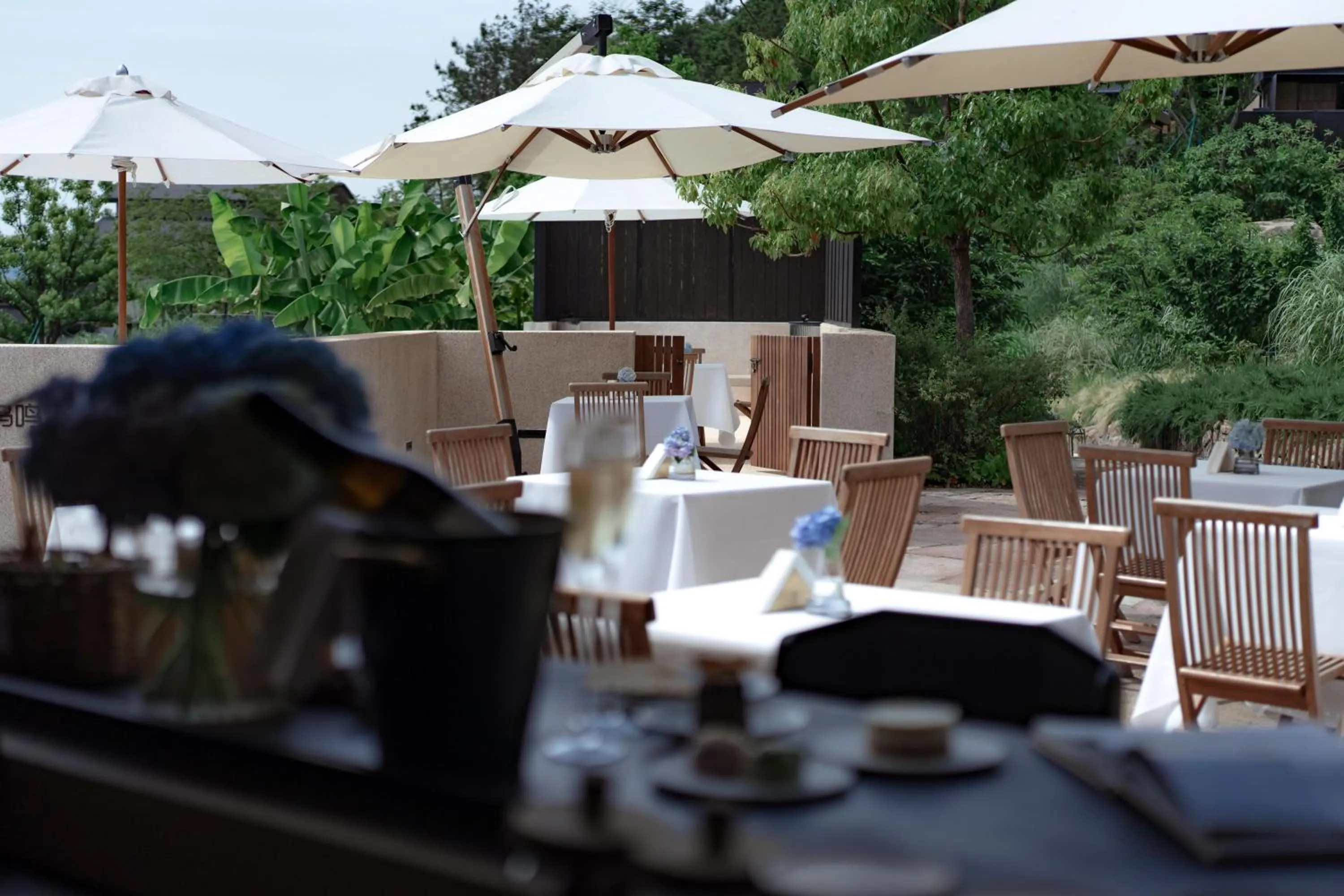 Lounge or bar in Anji ke gamer wild luxury Resort villa