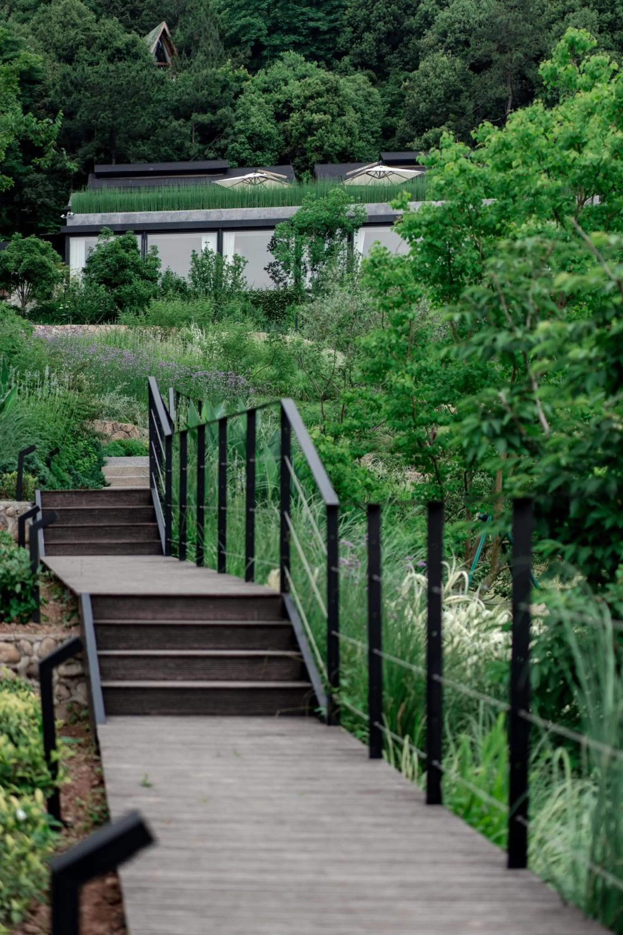 Property building in Anji ke gamer wild luxury Resort villa