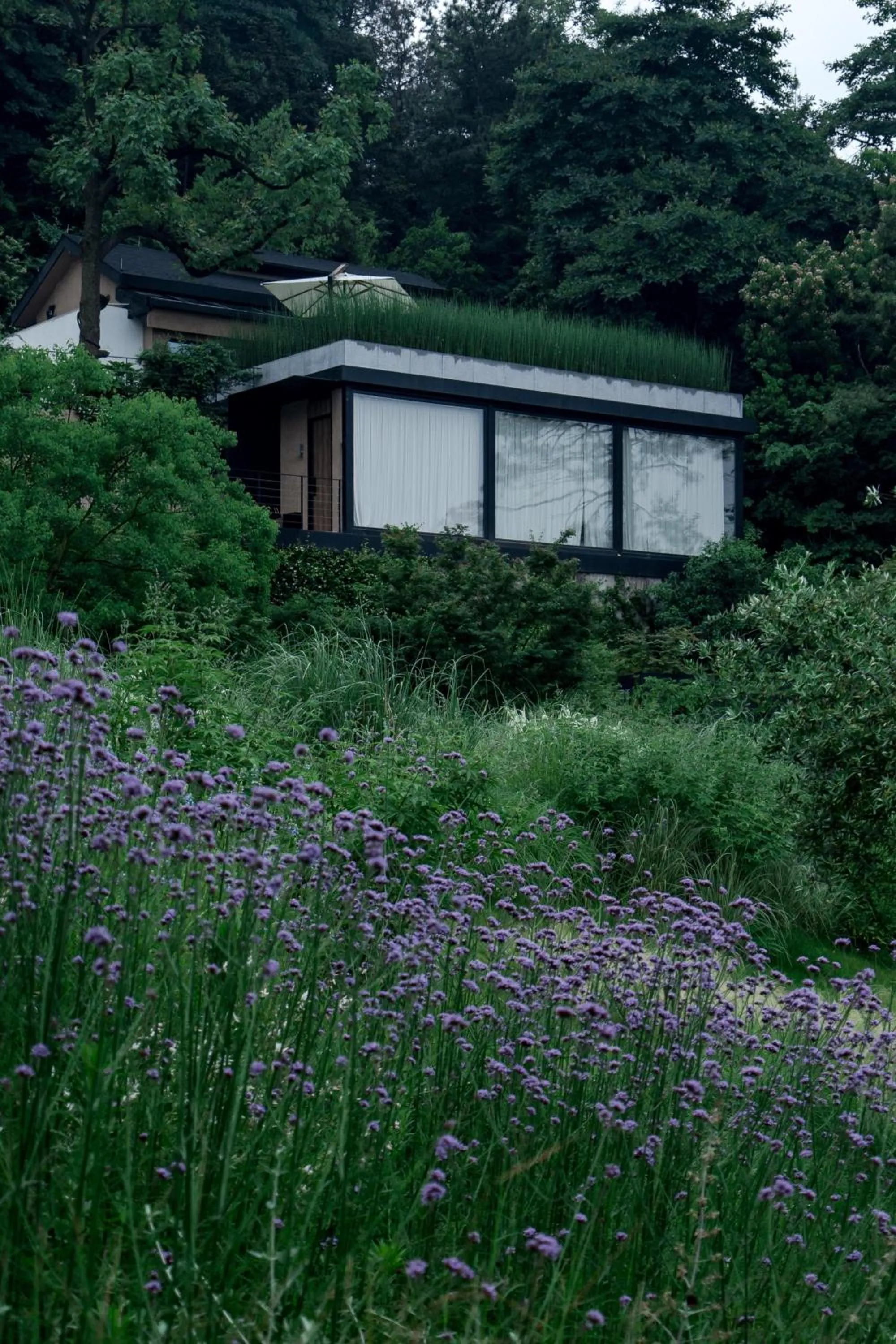 Property building in Anji ke gamer wild luxury Resort villa