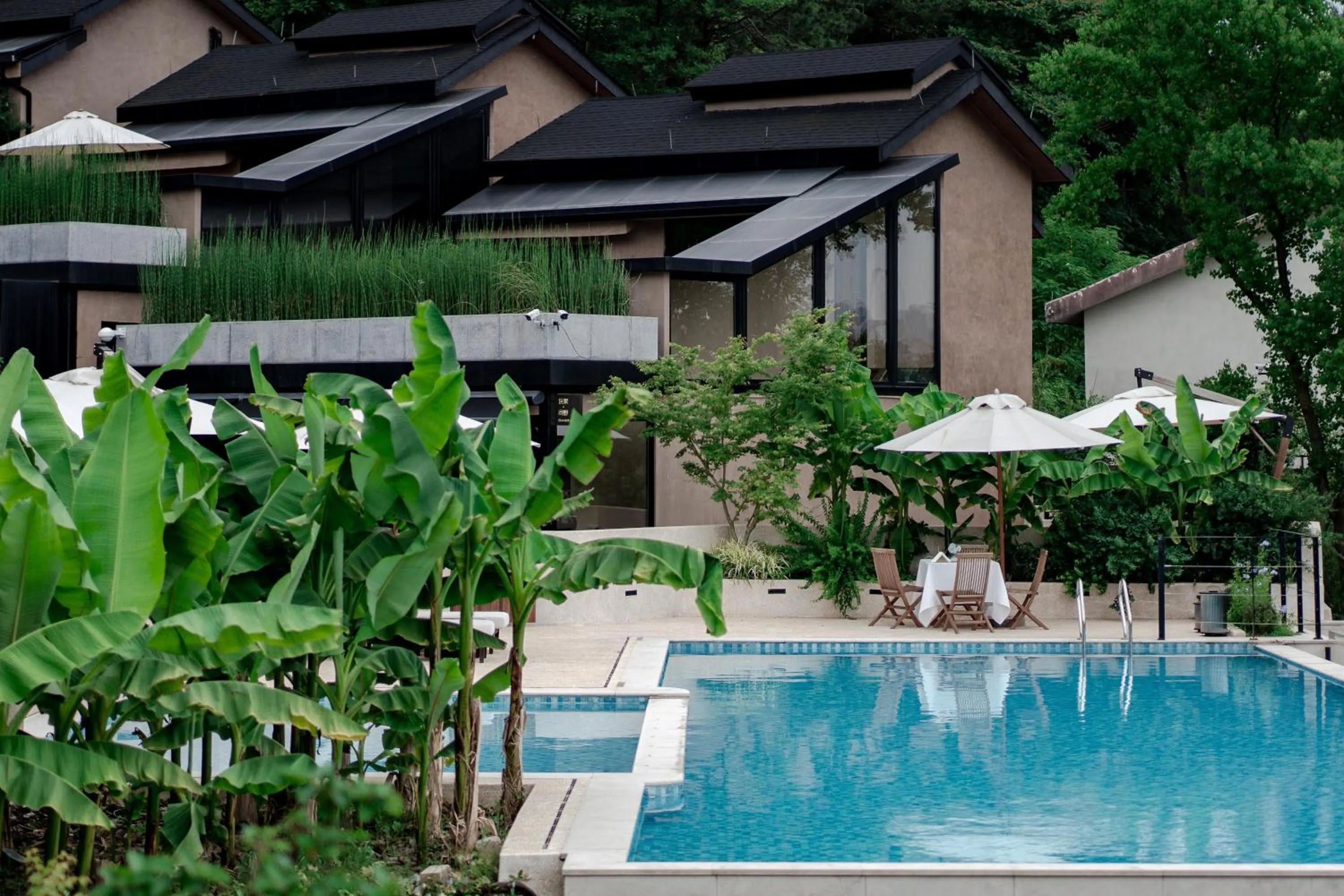 Swimming pool in Anji ke gamer wild luxury Resort villa