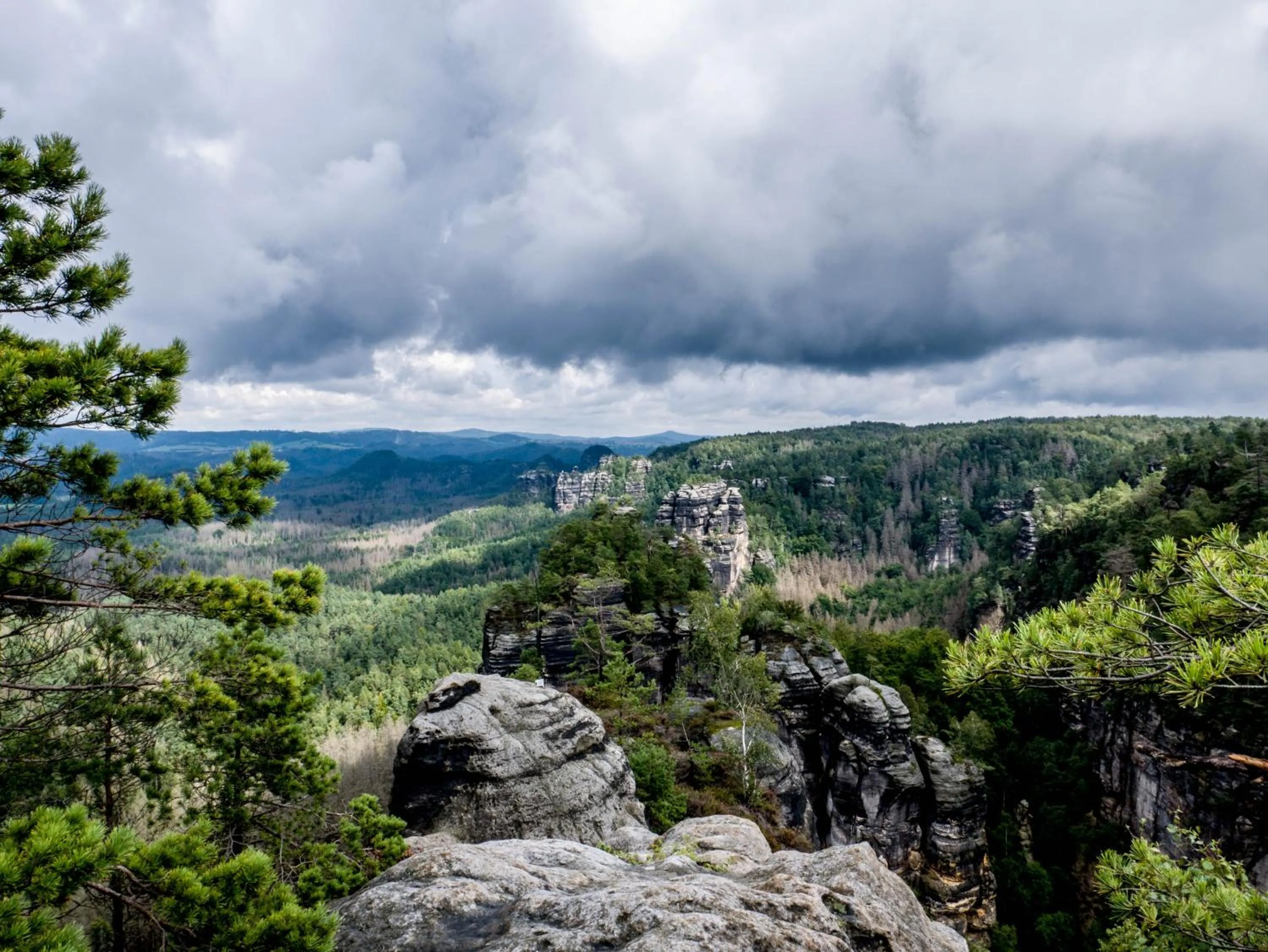 Hiking in Hotel Elbpromenade
