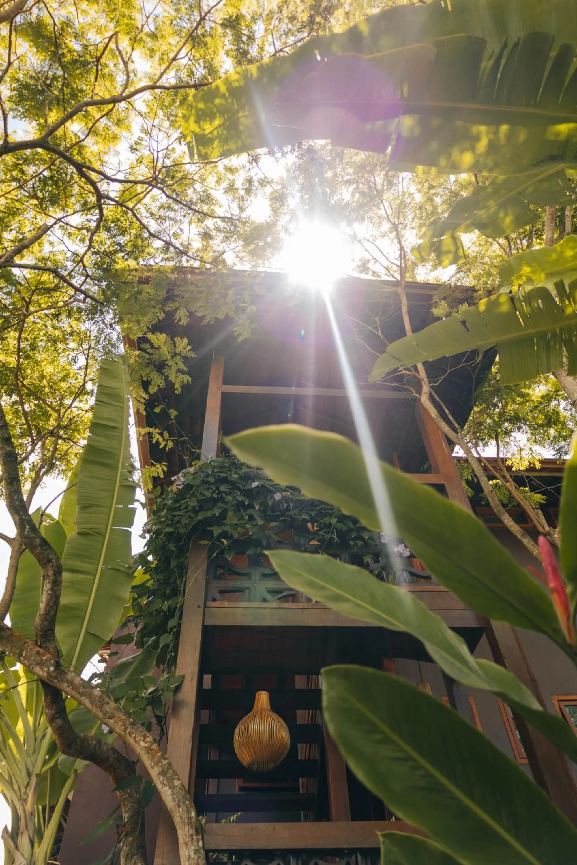 Garden in Chocolate Hotel