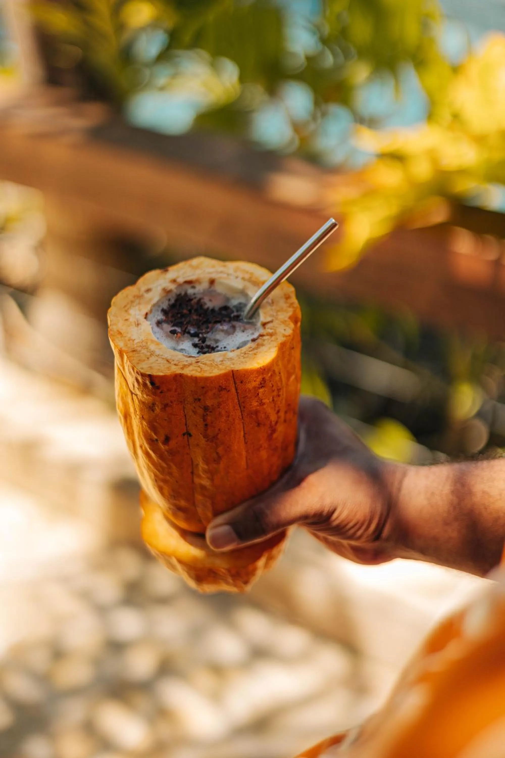 Drinks in Chocolate Hotel