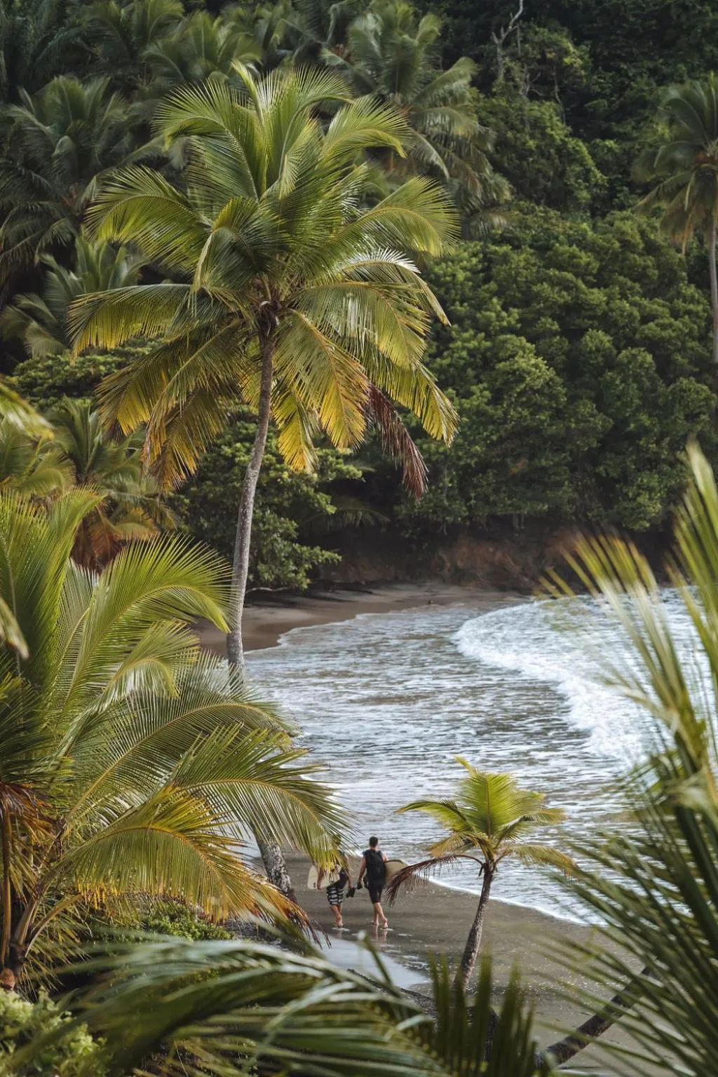 Beach in Chocolate Hotel