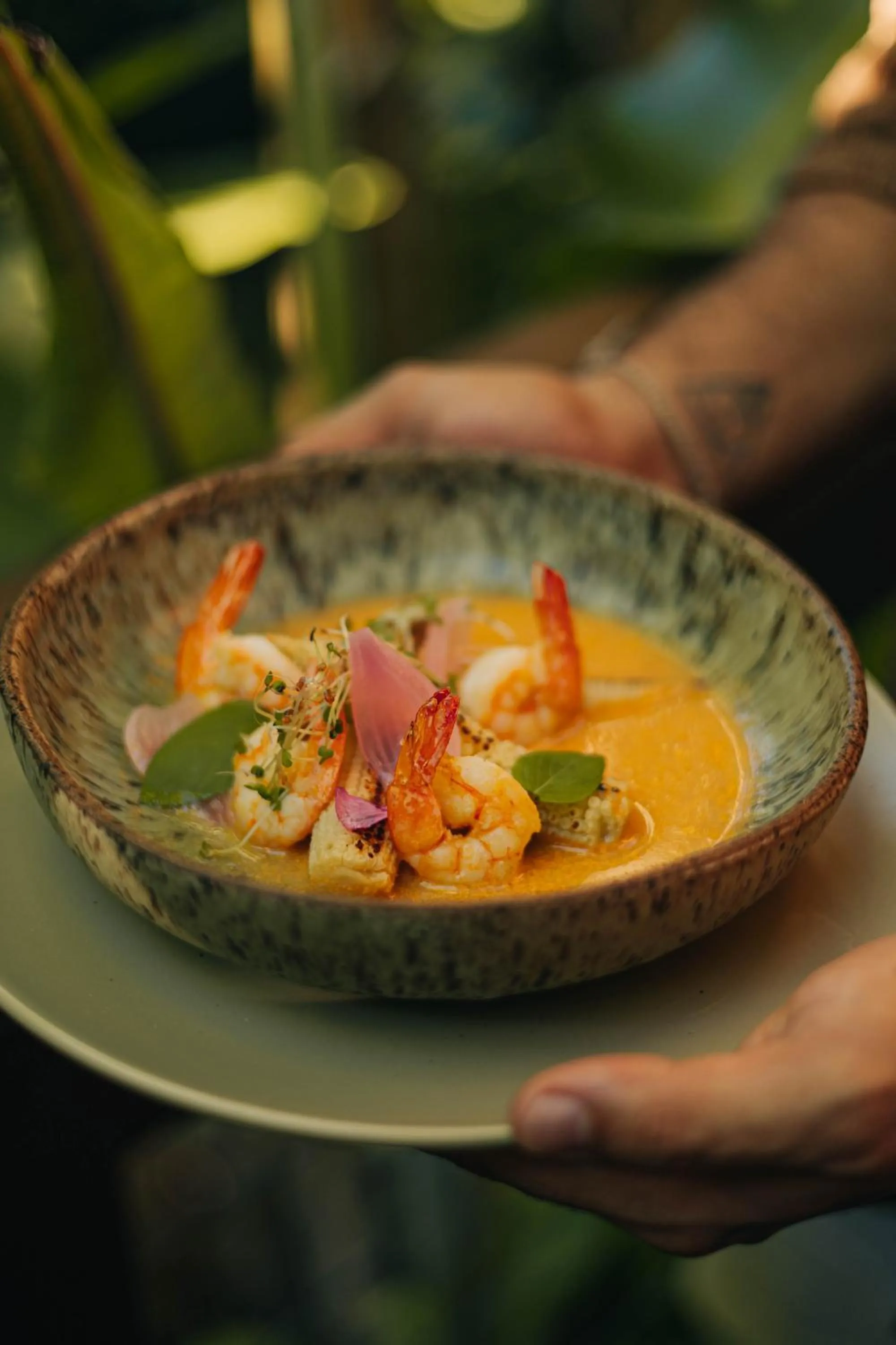 Restaurant/places to eat in Chocolate Hotel