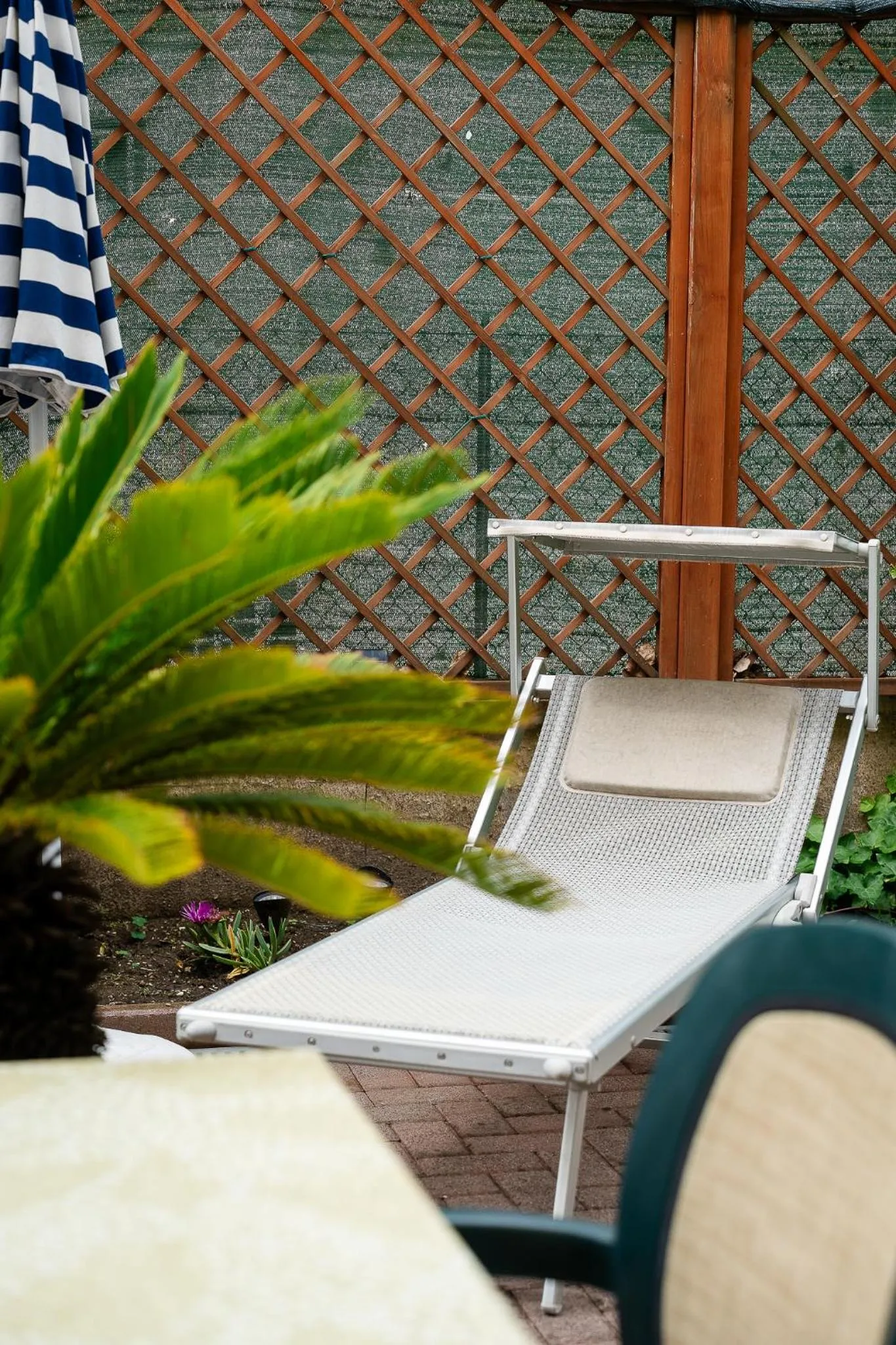 Garden in Hotel La Pergola