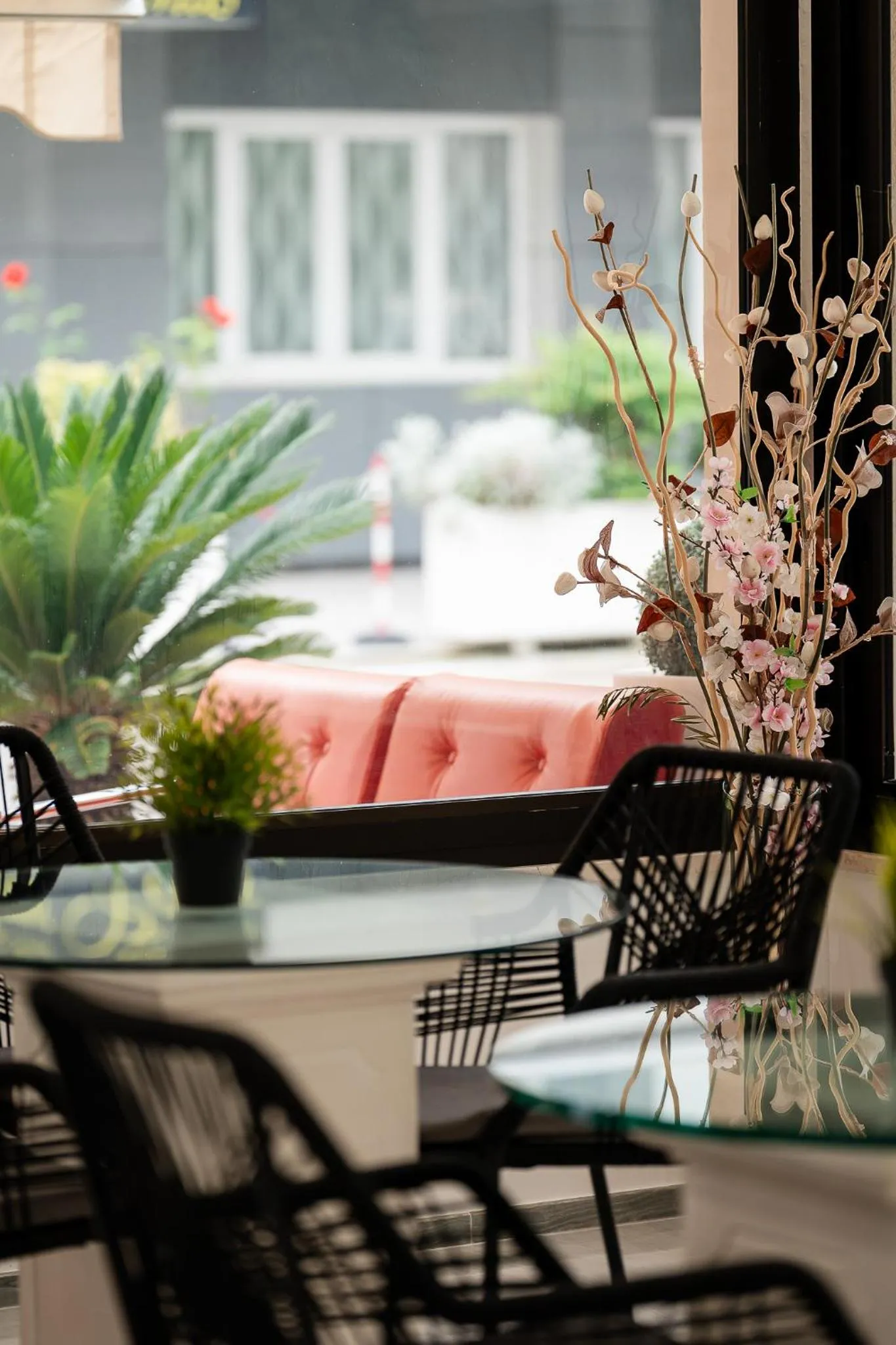 View (from property/room) in Hotel La Pergola