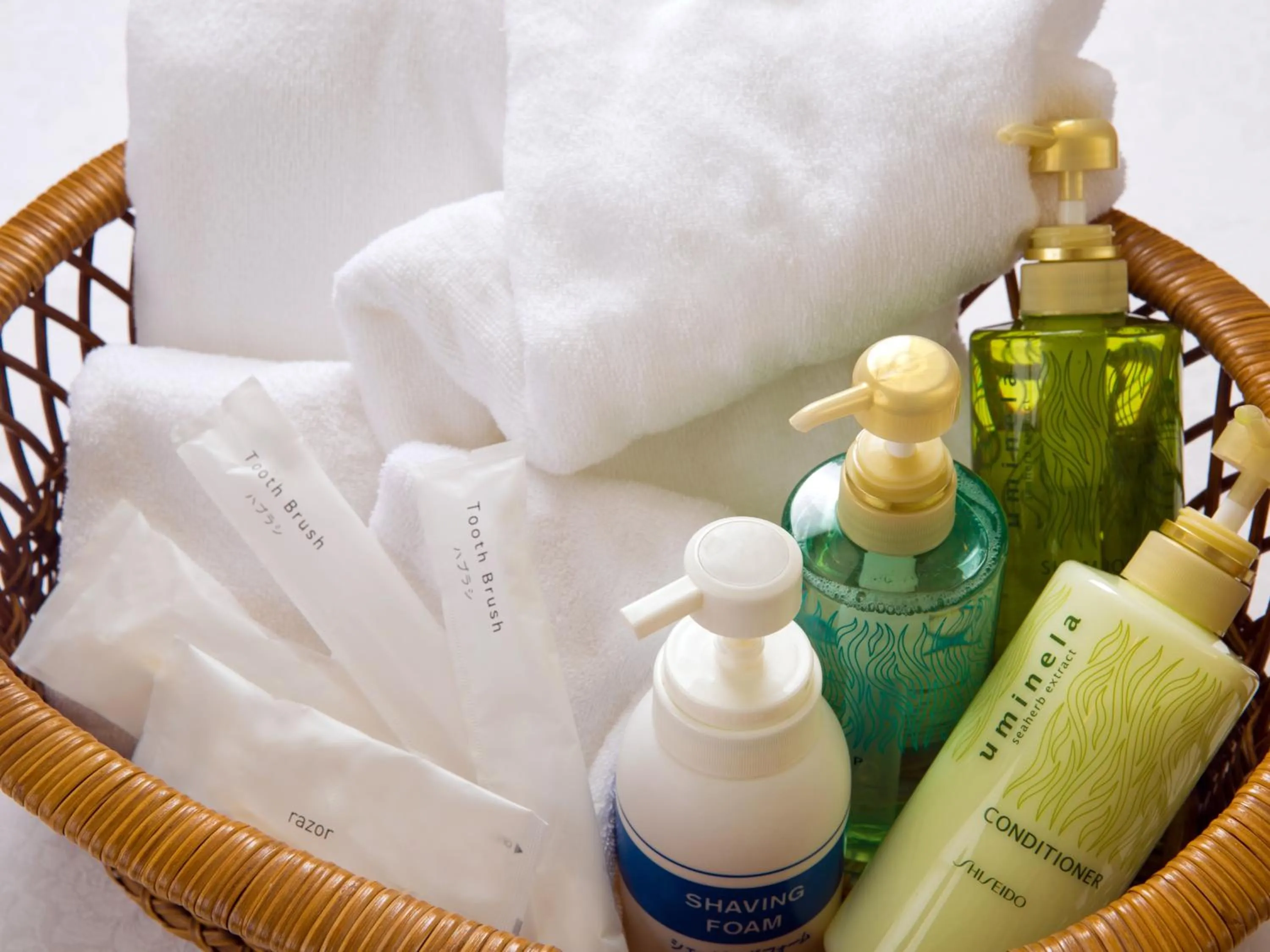 Photo of the whole room in hotel miura kaen