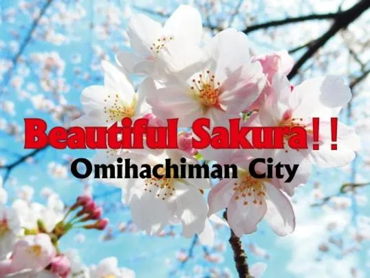 Spring in Hotel New Omi