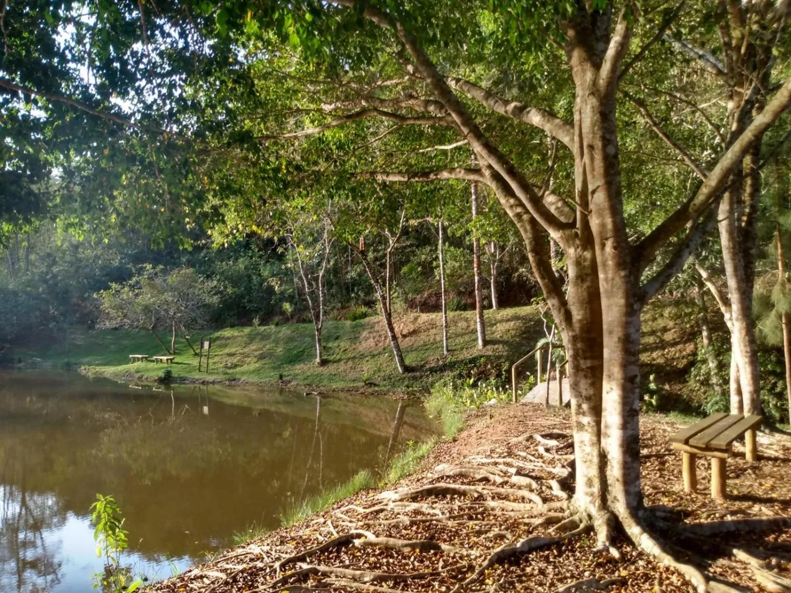 Natural landscape in Pousada Lisieux