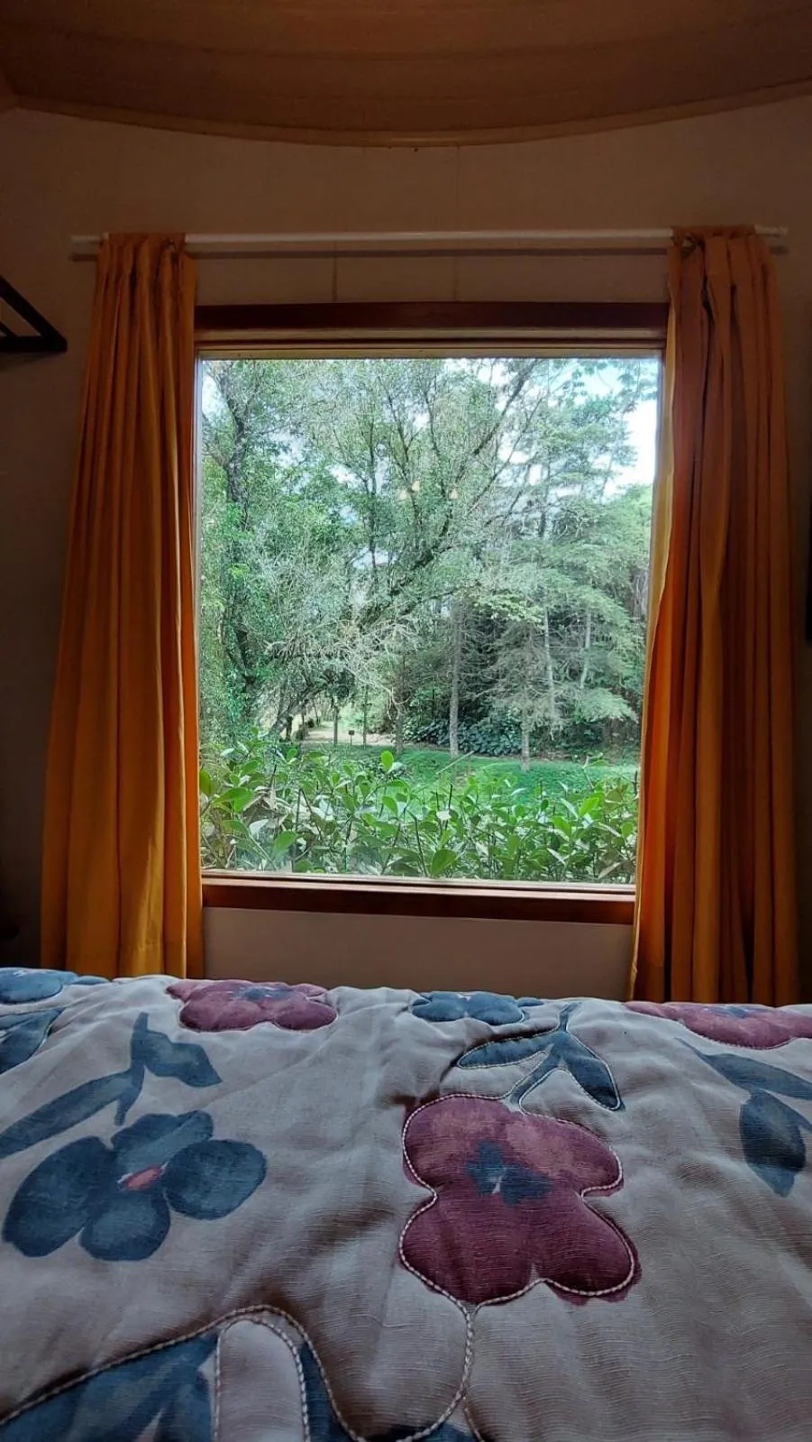 View (from property/room), Bed in Pousada Lisieux