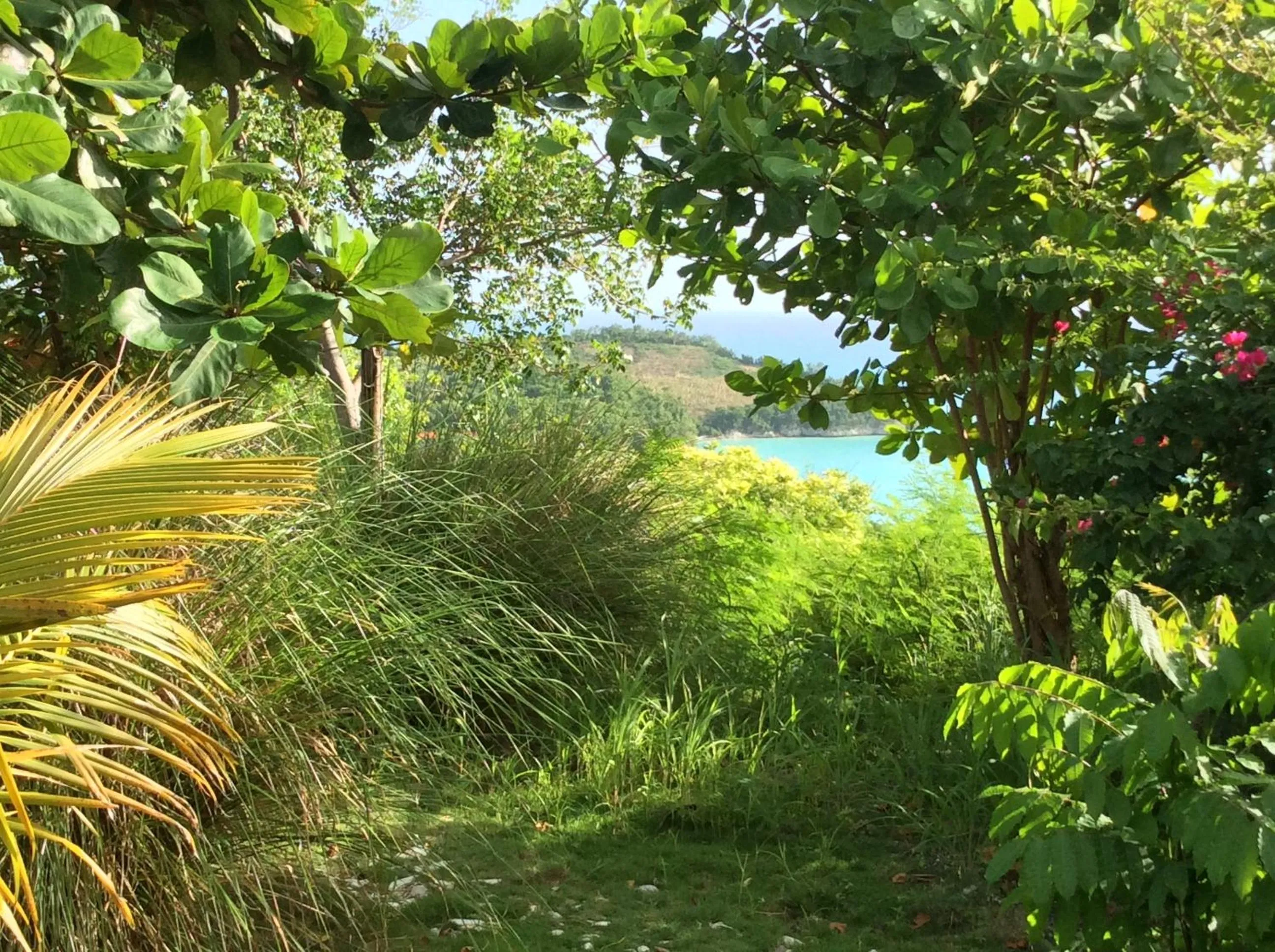Garden in Suites la Colline