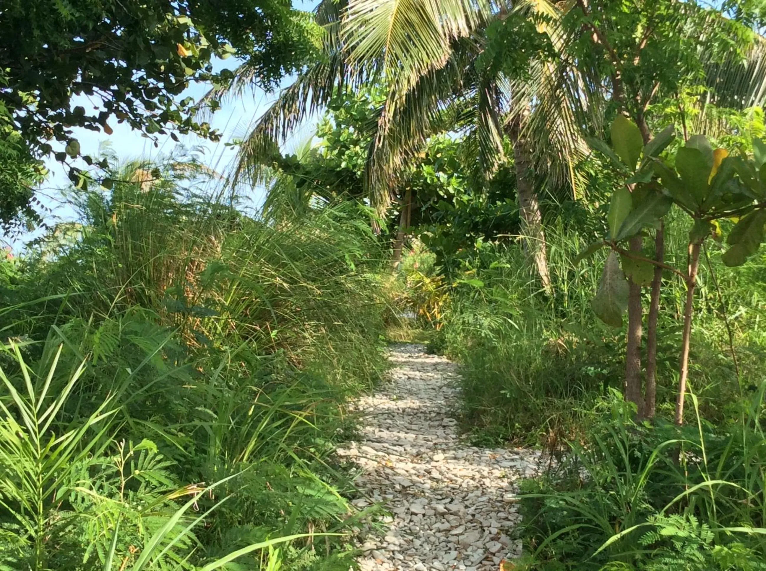 Garden in Suites la Colline
