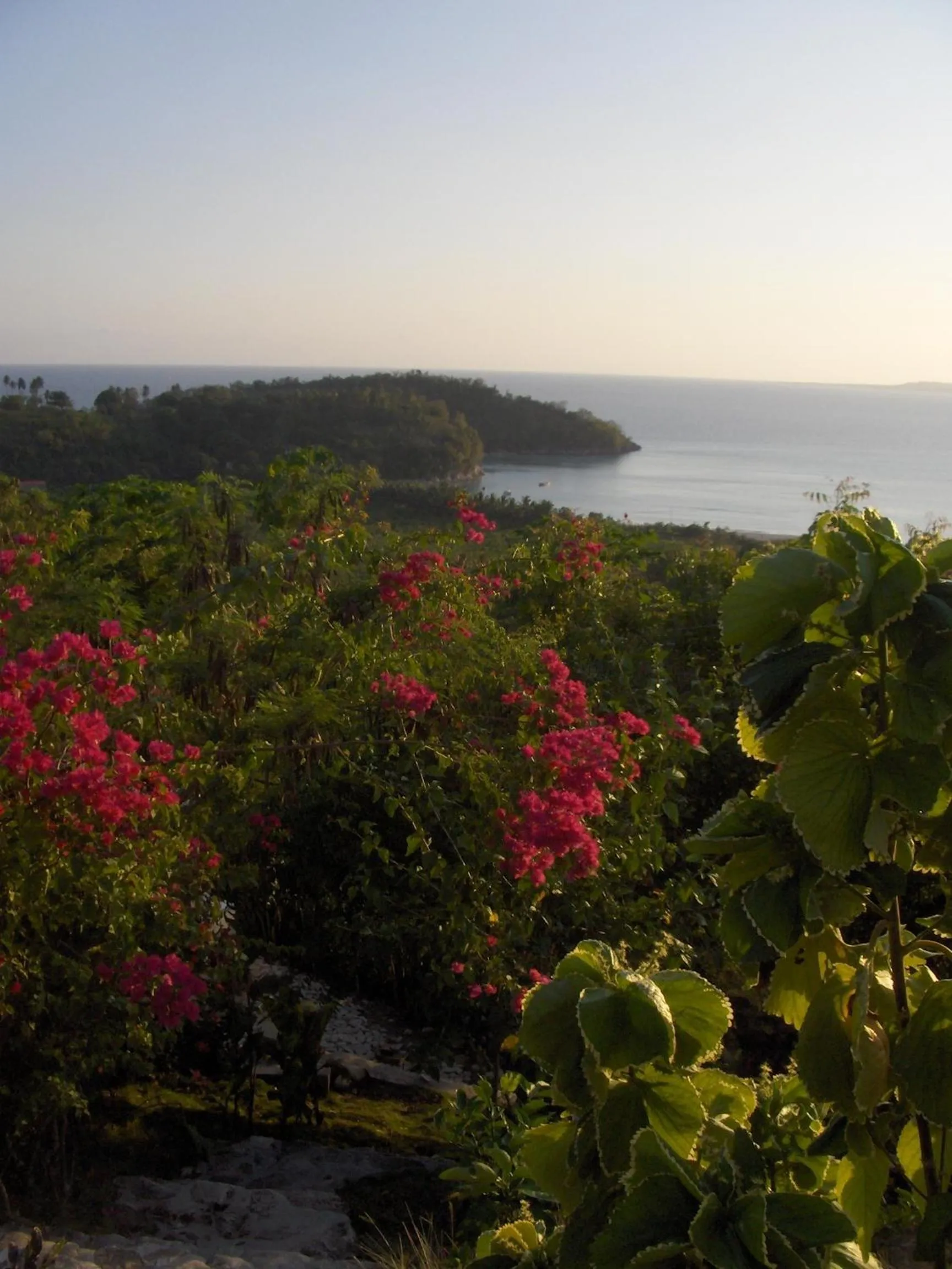 Garden in Suites la Colline