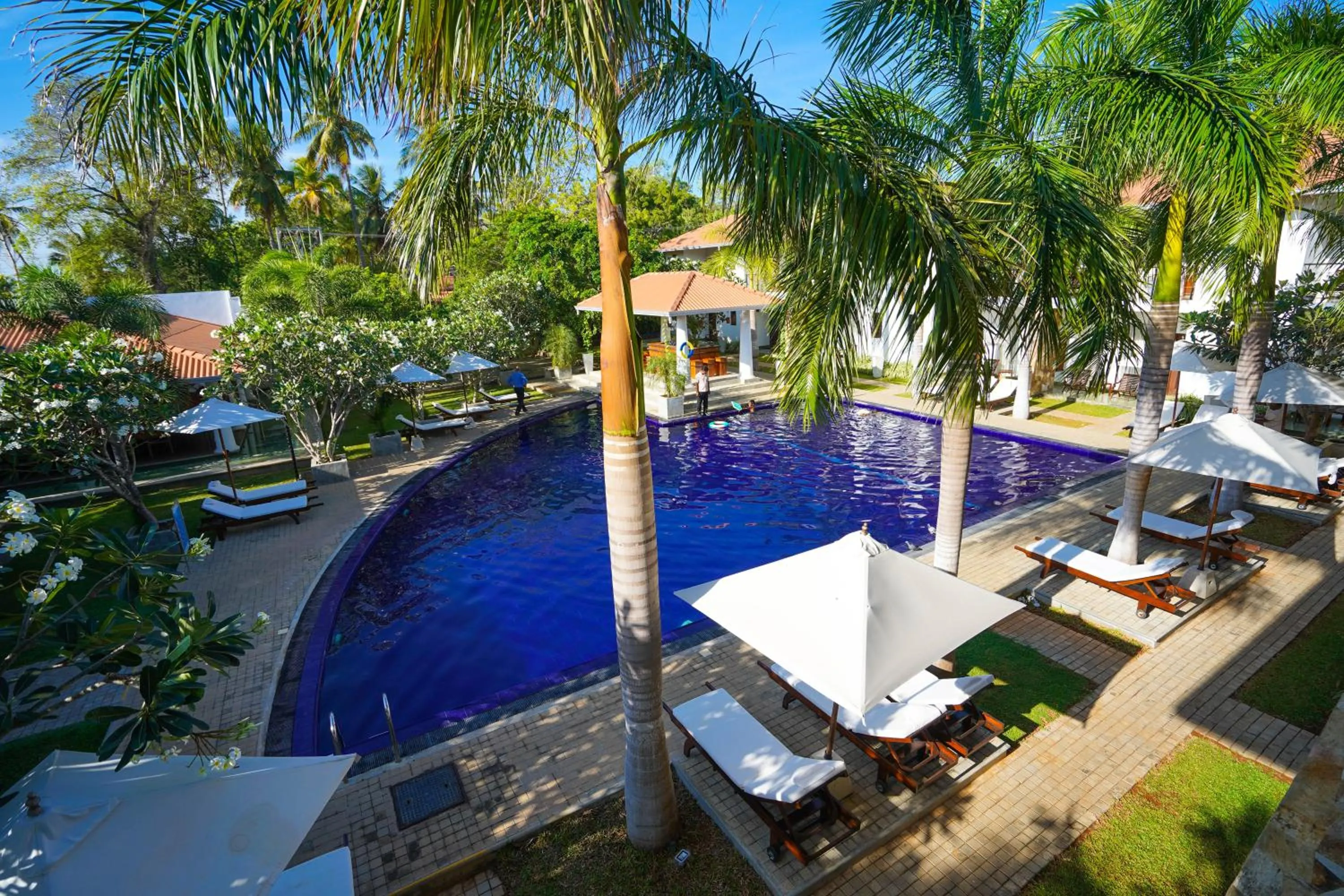 Swimming pool in Hotel Tamarind Tree
