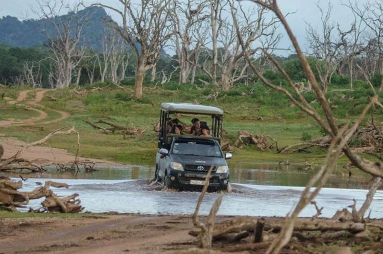 Natural landscape in Hotel Tamarind Tree
