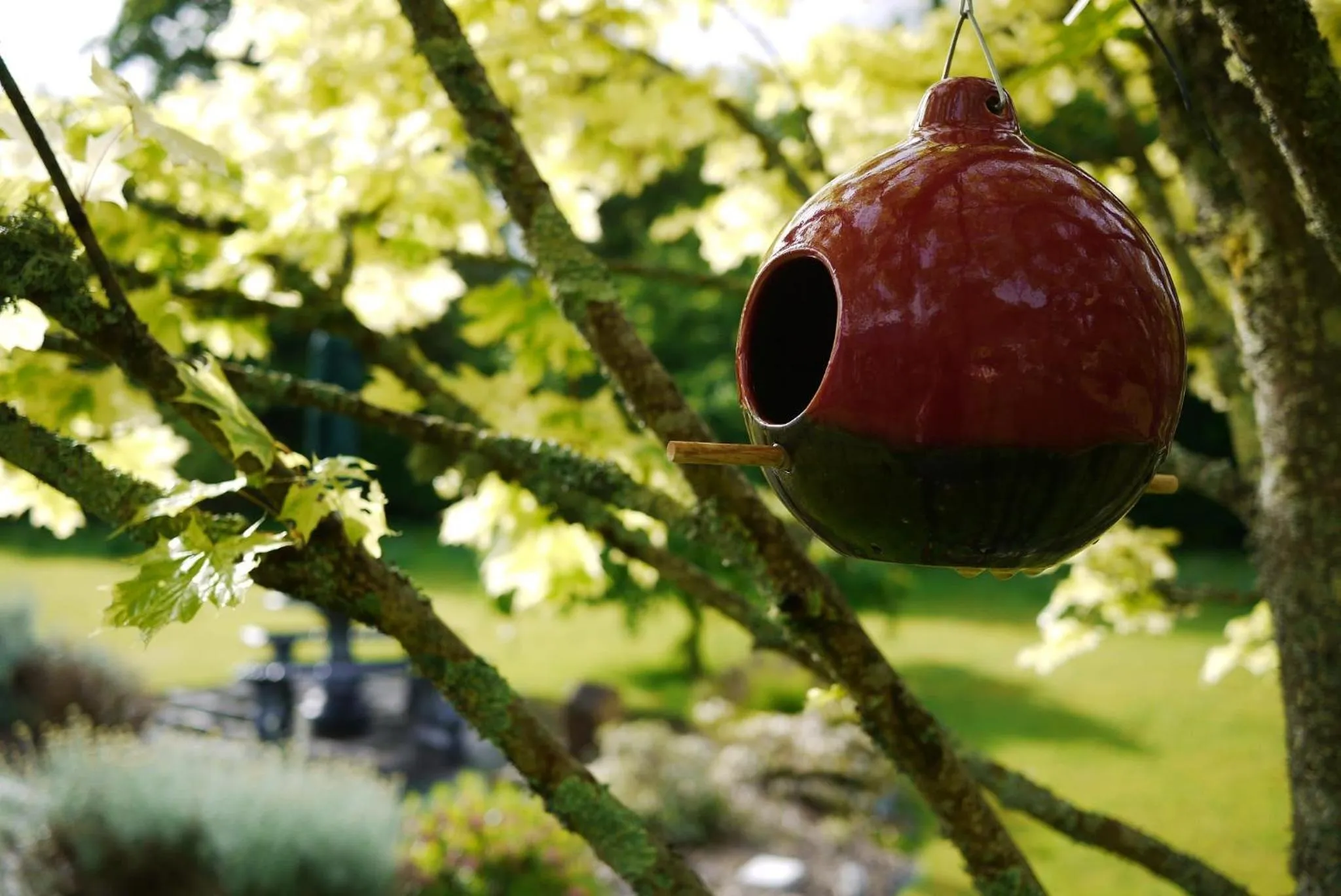 Garden in Applecroft House