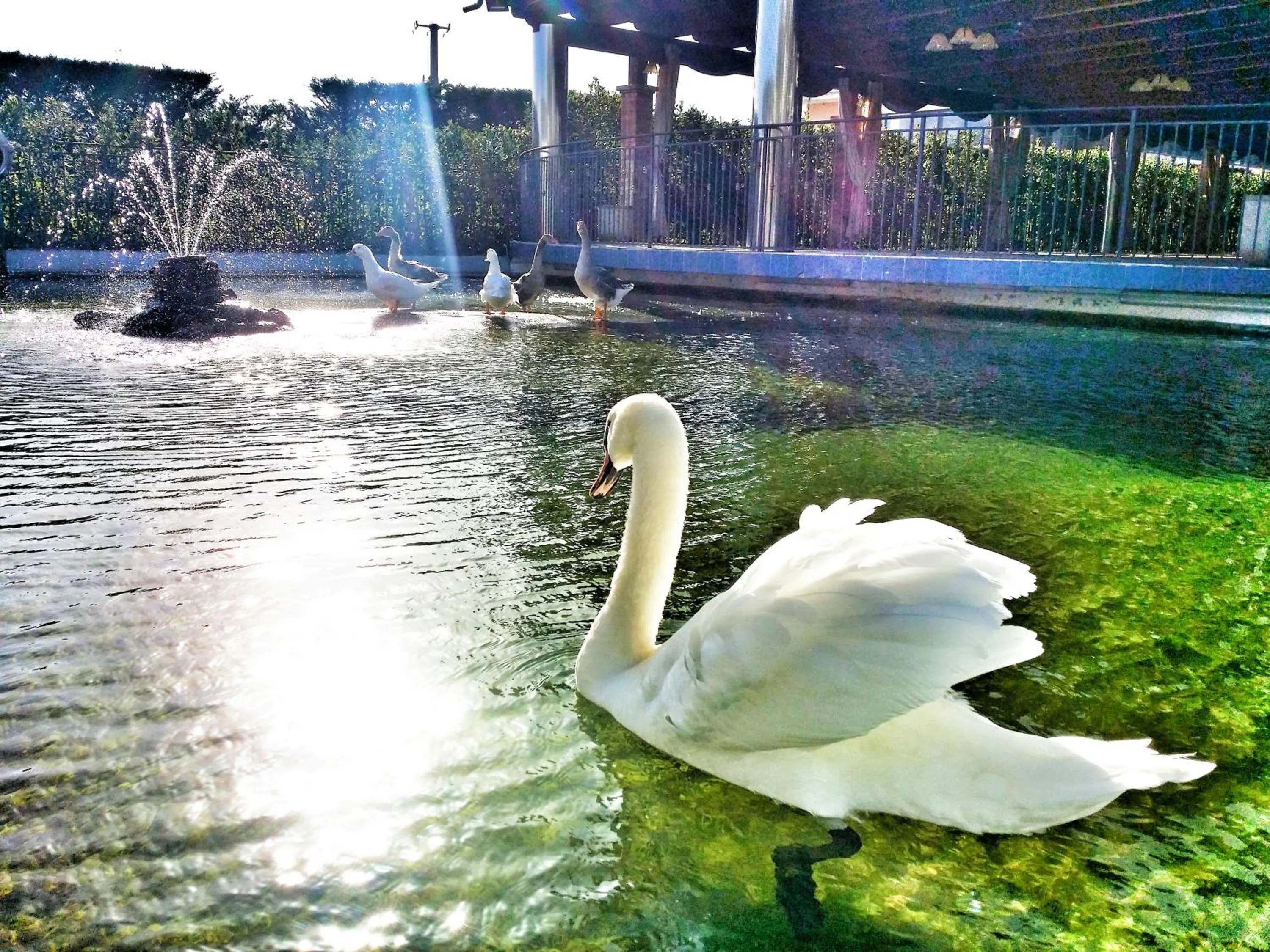Day in Hotel San Luca