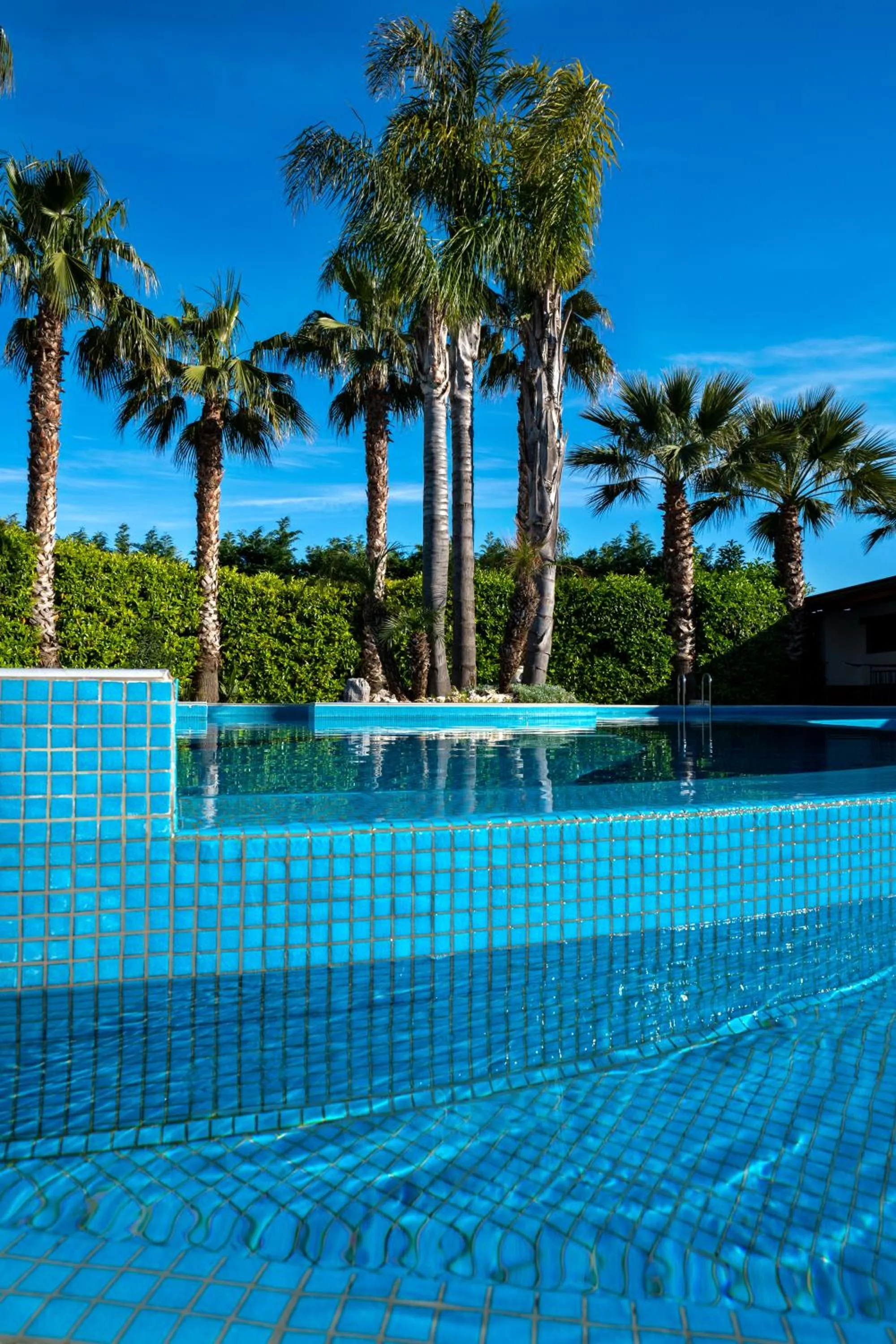 Garden view in Hotel San Luca