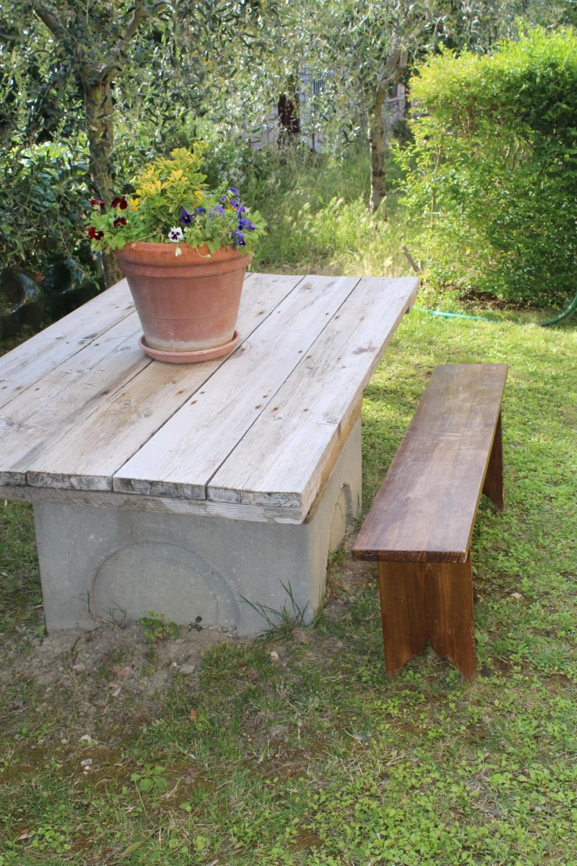 Garden in Alle Terme B&B