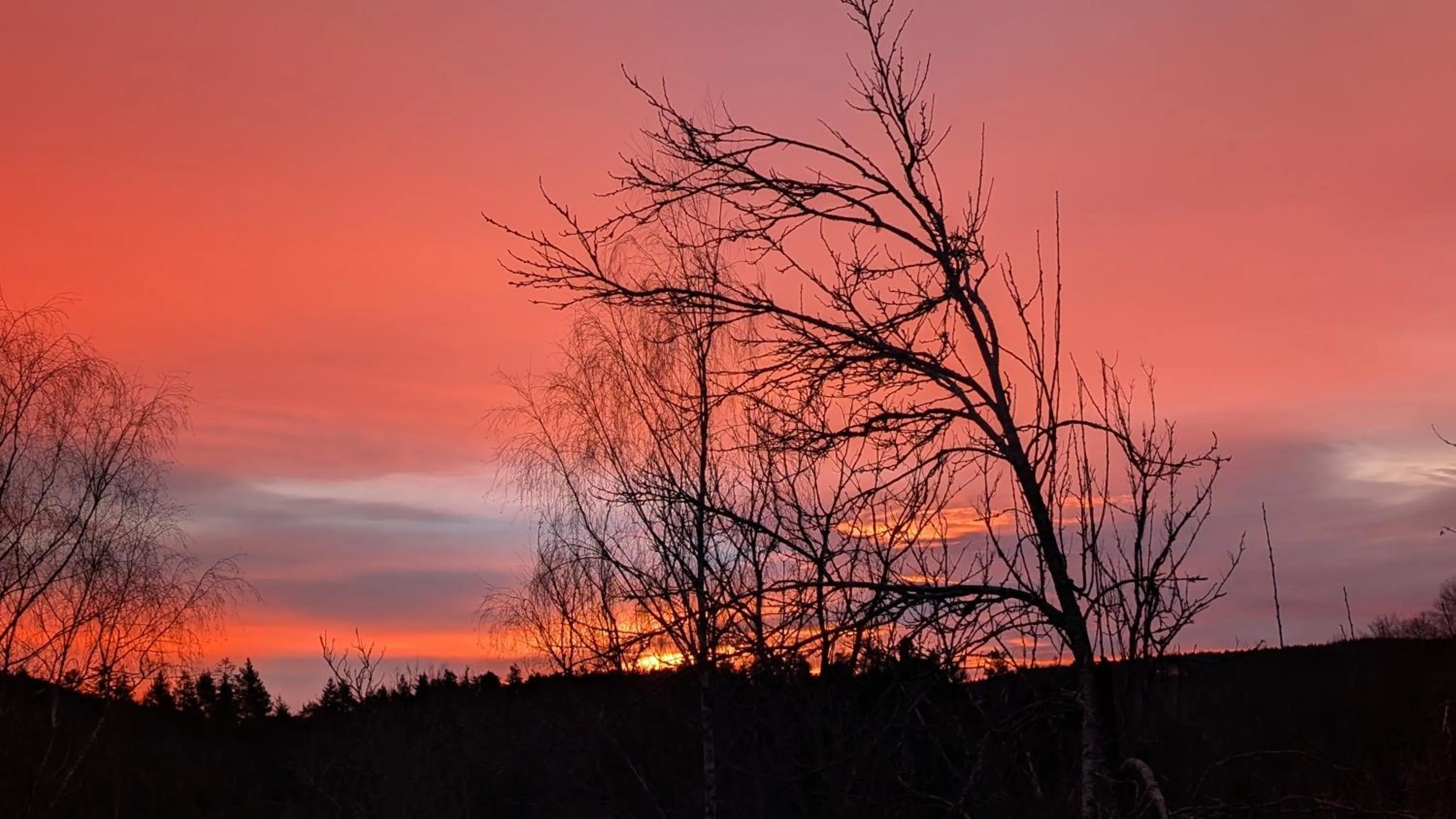 Natural landscape in Hotel Central Garni