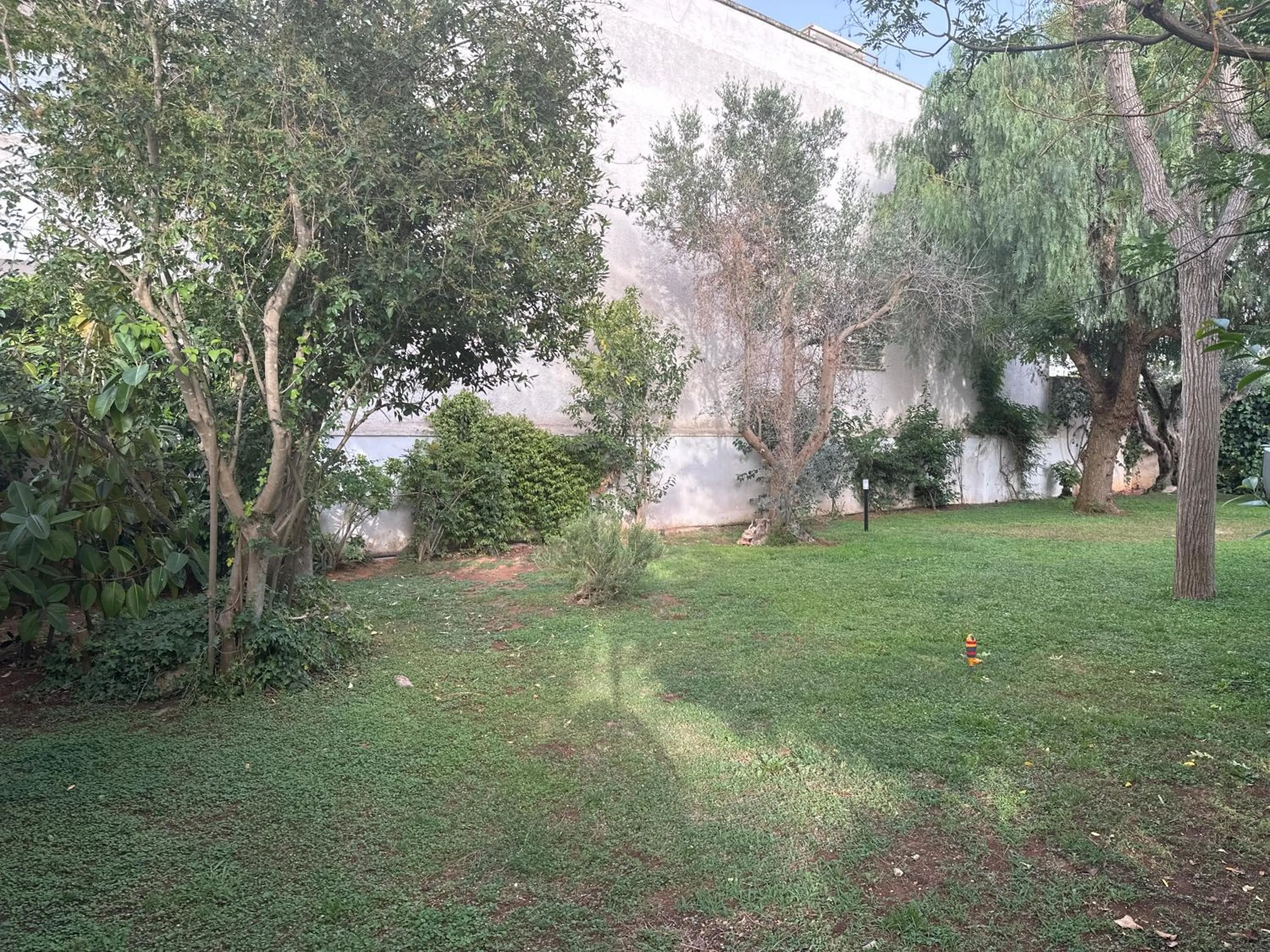 Garden in Villa Teresa Maria