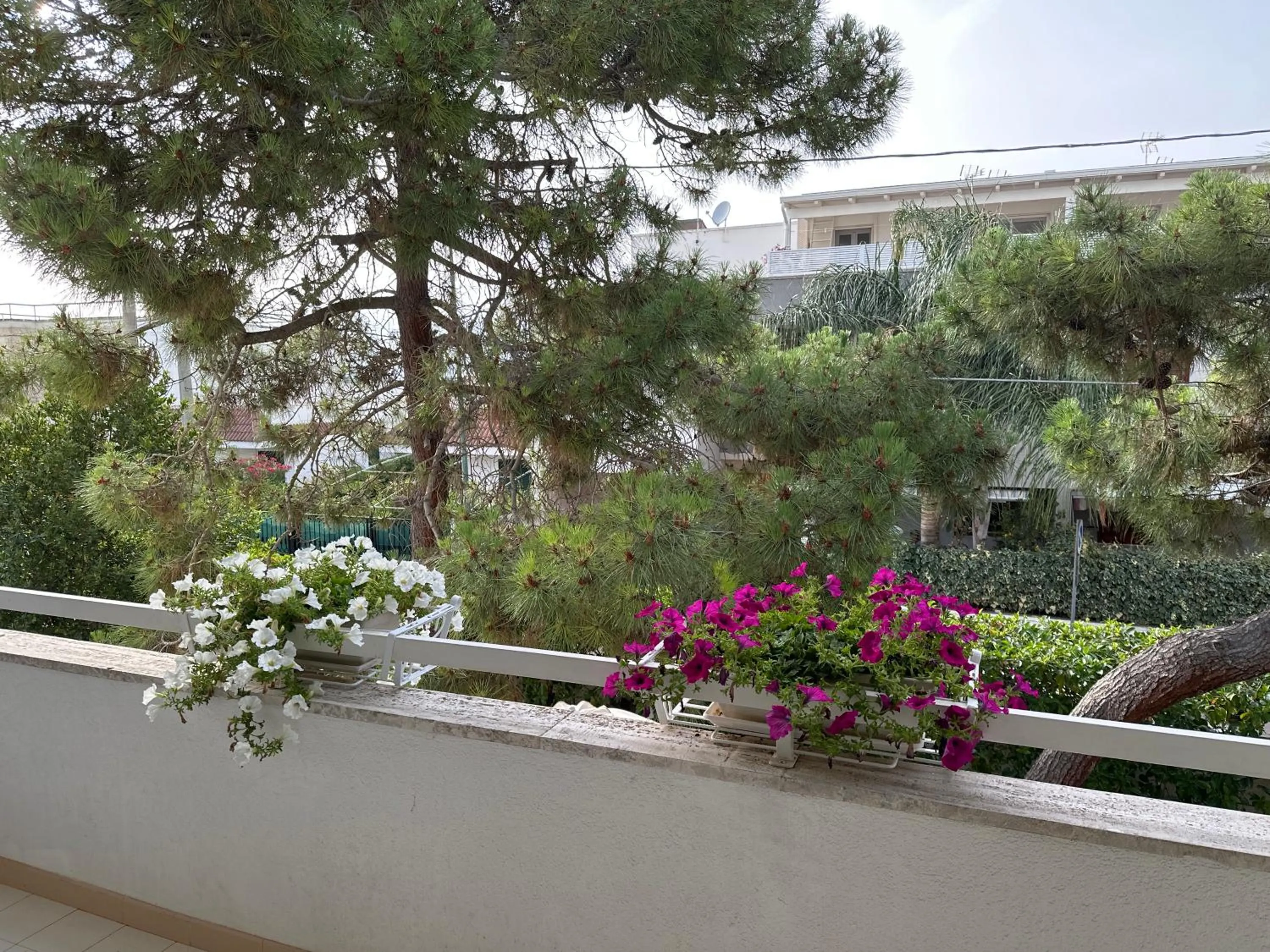 View (from property/room) in Villa Teresa Maria