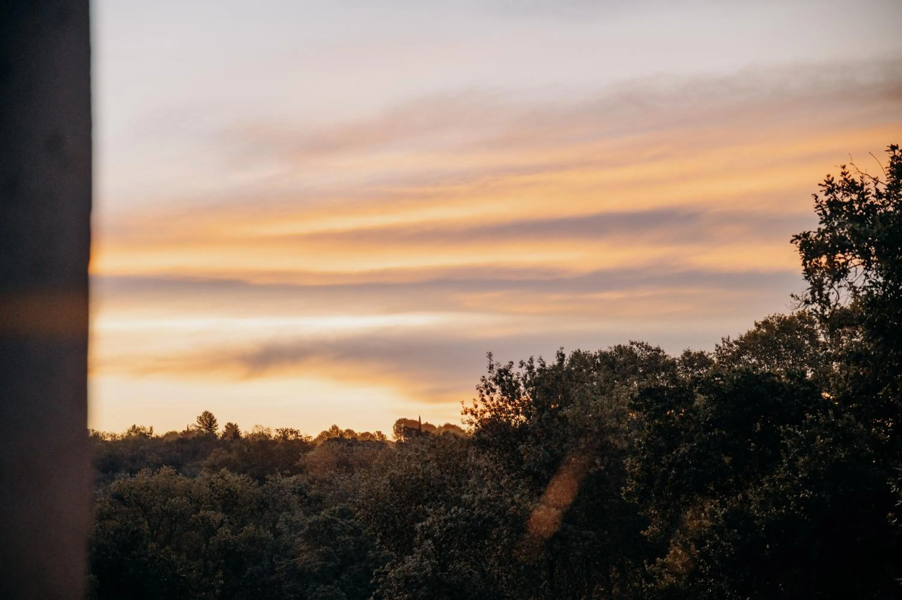 Garden view in Hôtel Domaine de Biar